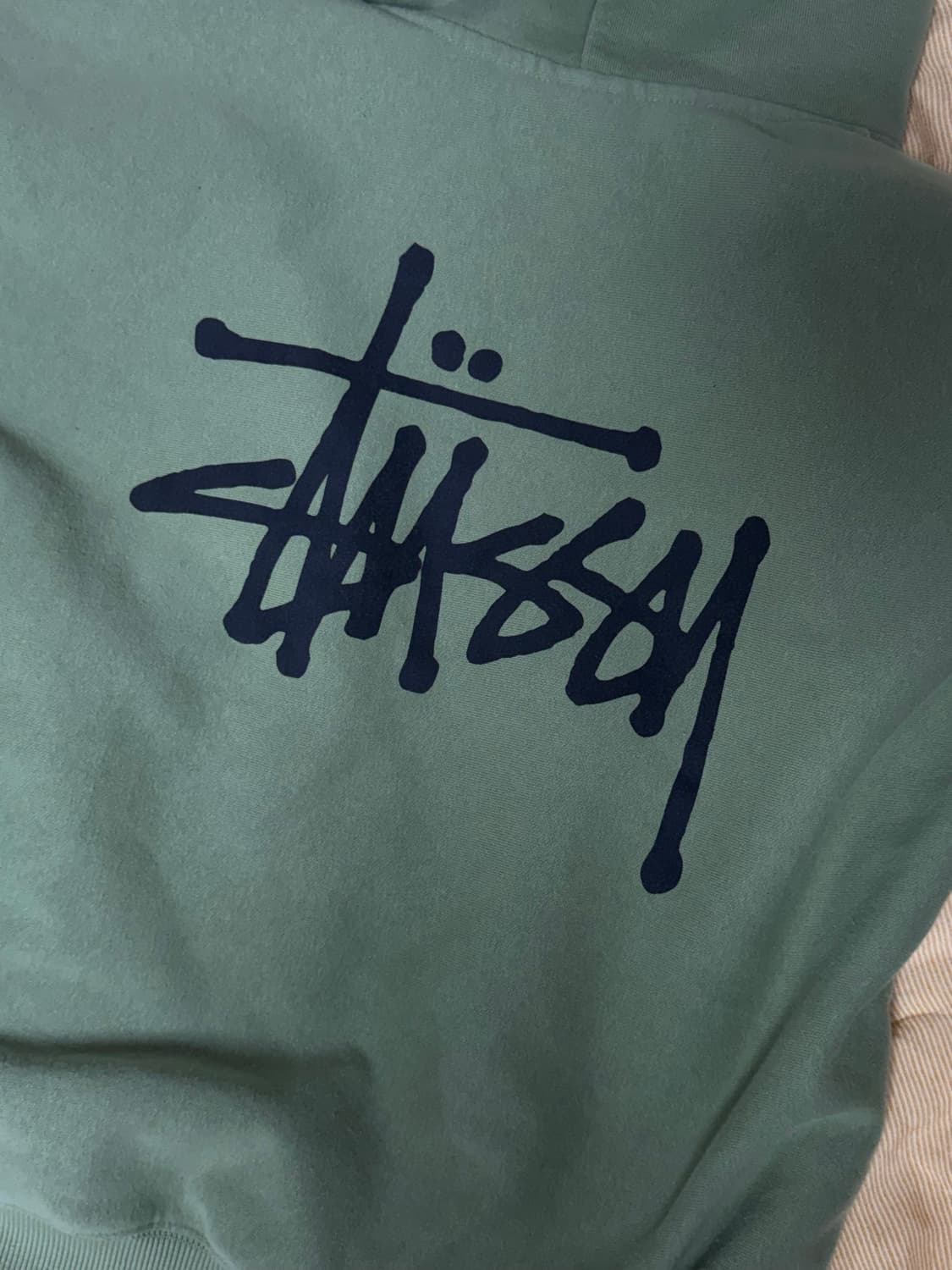 스투시 베이직 후드집업 모스 2023 S 상품이미지3