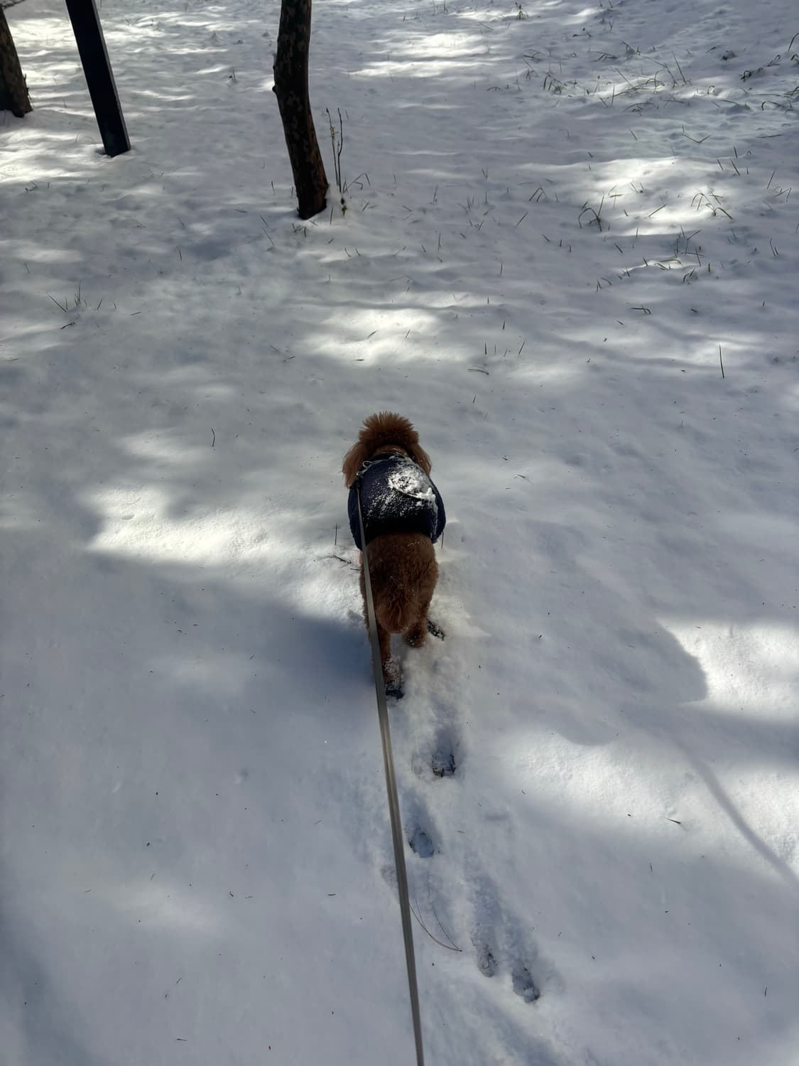 결제창 상품이미지1