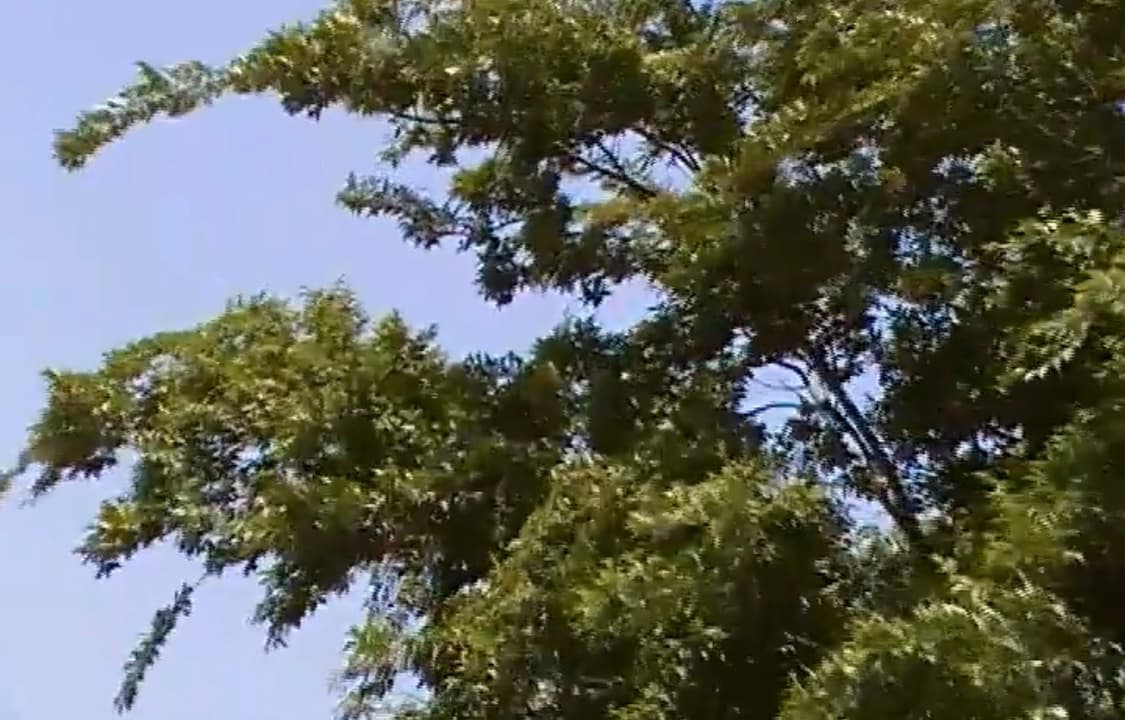 삼성 SMX-F34 캠코더 상품이미지6