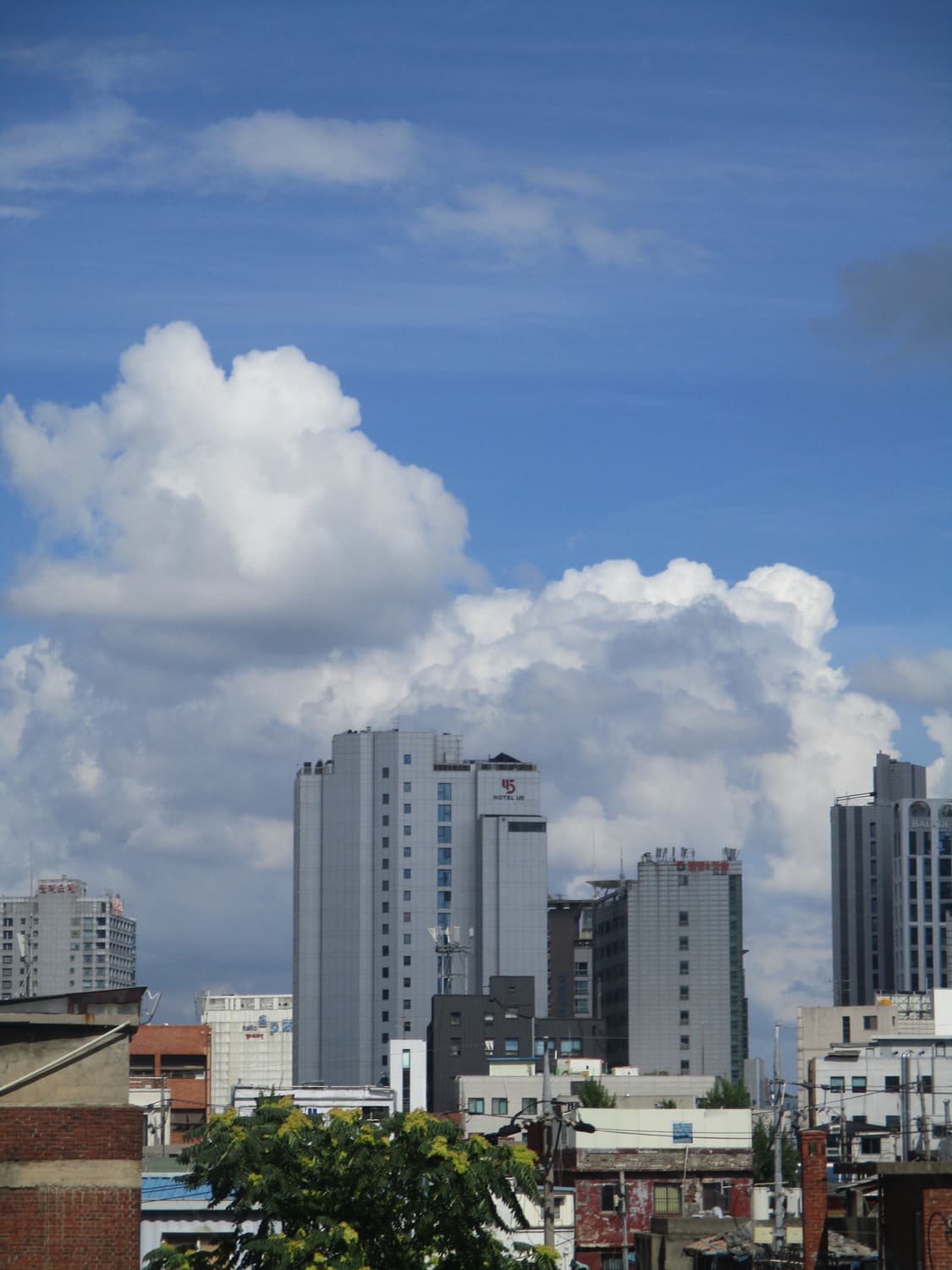 인물사진&강추!) Canon IXUS 860 IS 디카 카메라 상품이미지5