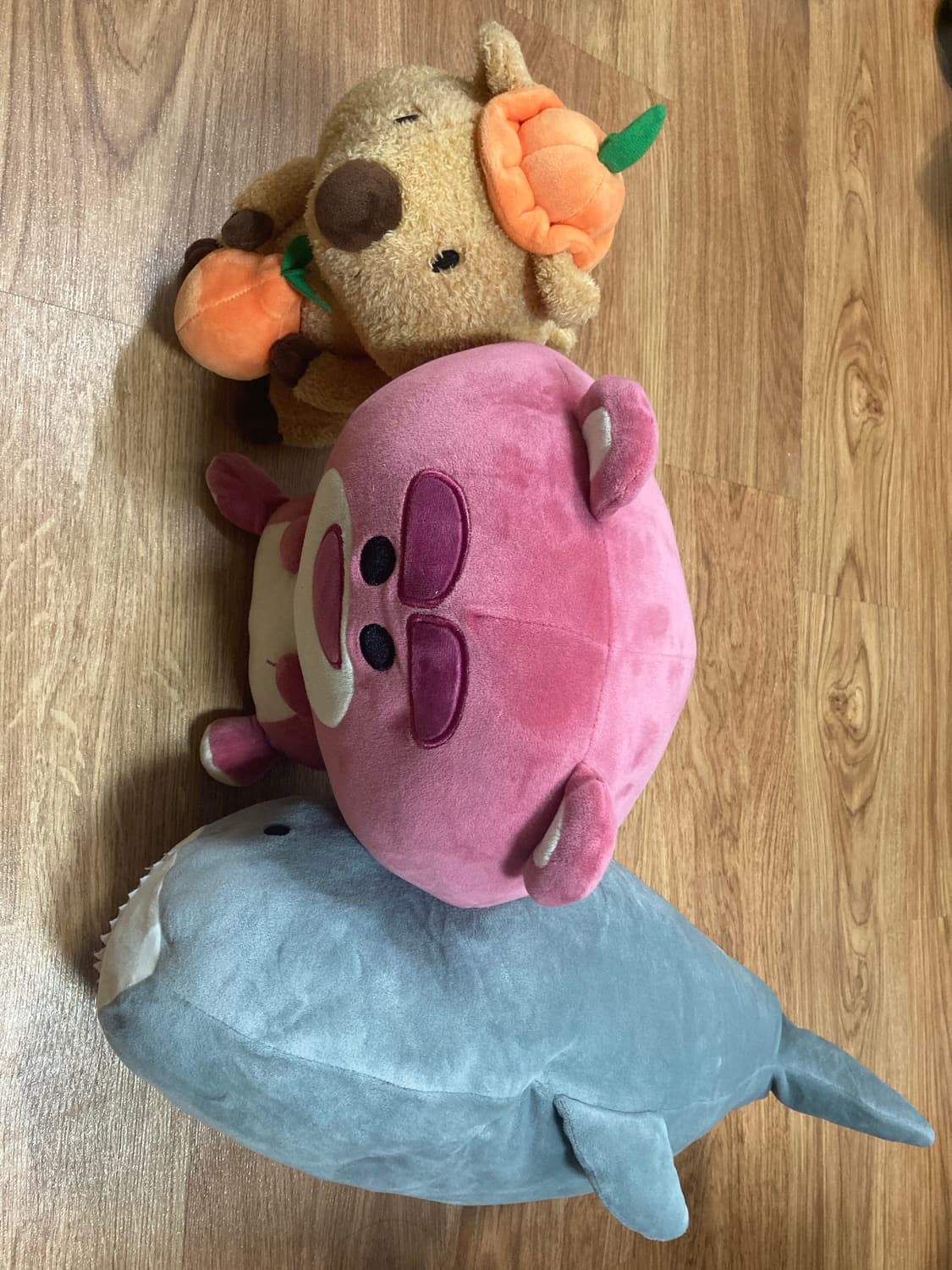 쿼카, 랏소 베어, 상어인형 3개 상품이미지1