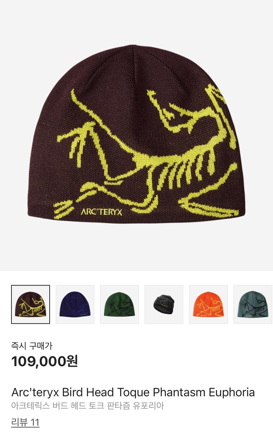 아크테릭스 Bird Head Toque Phantasm OS 상품이미지1
