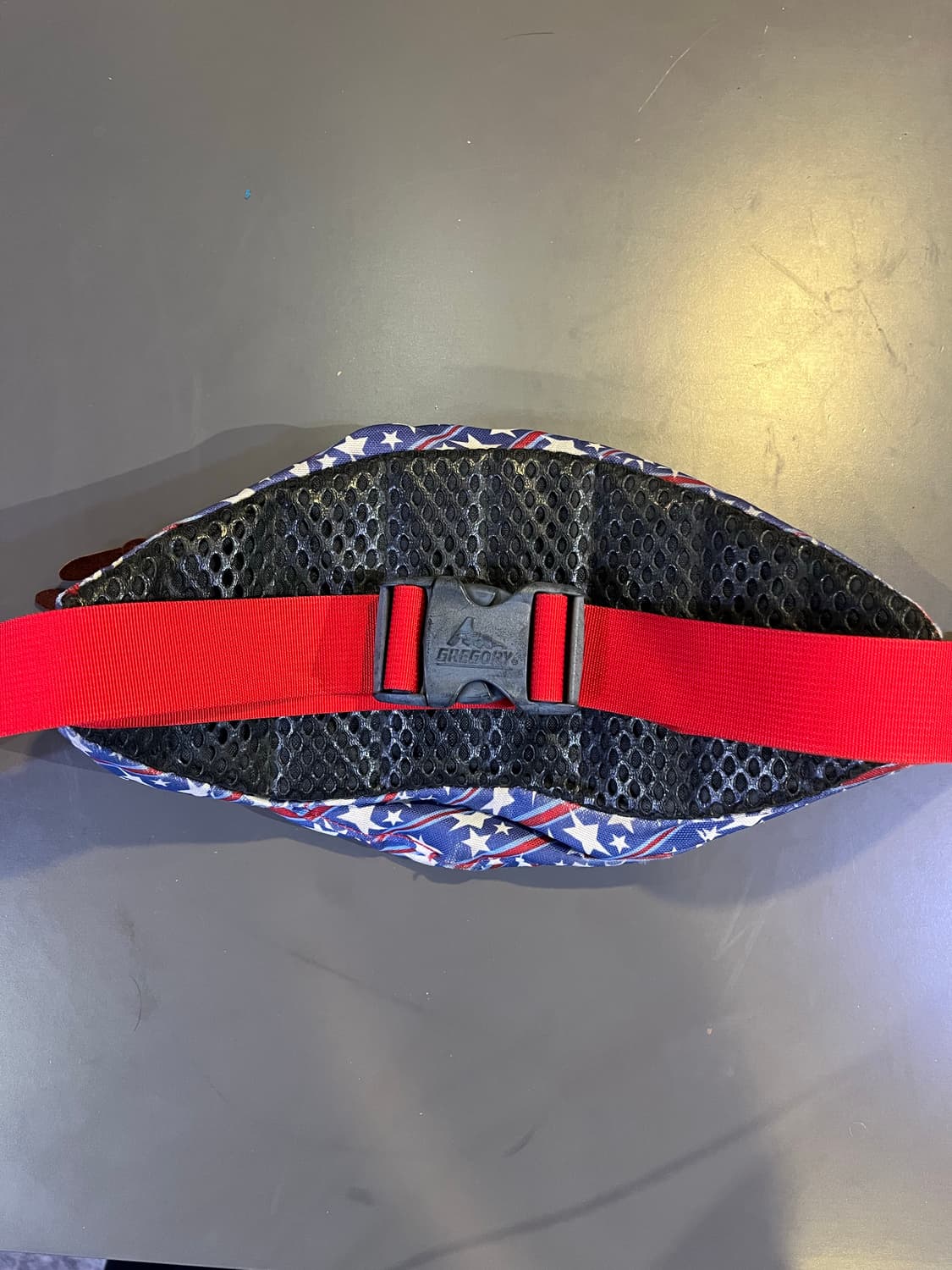 그레고리 구형 로고 테일러너 상품이미지2