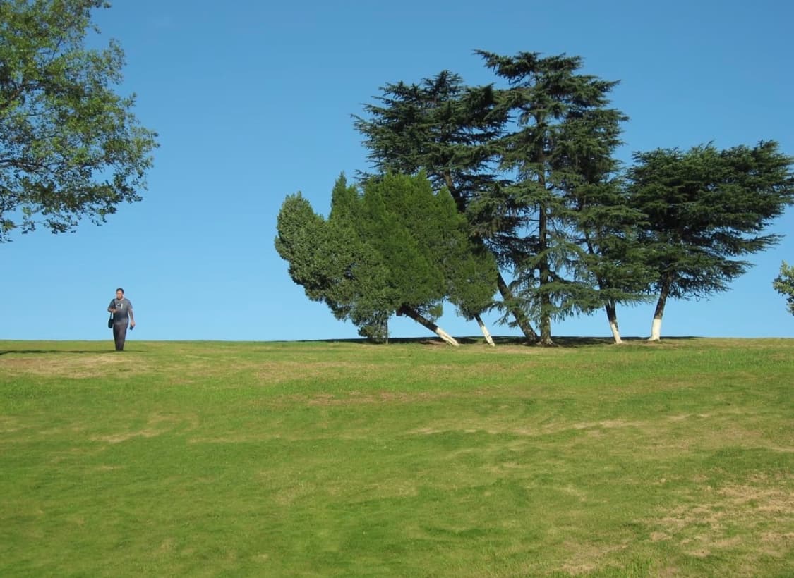 캐논 익시 800 (캐논 익서스 800 IXUS 800) 빈티지 디카 상품이미지6