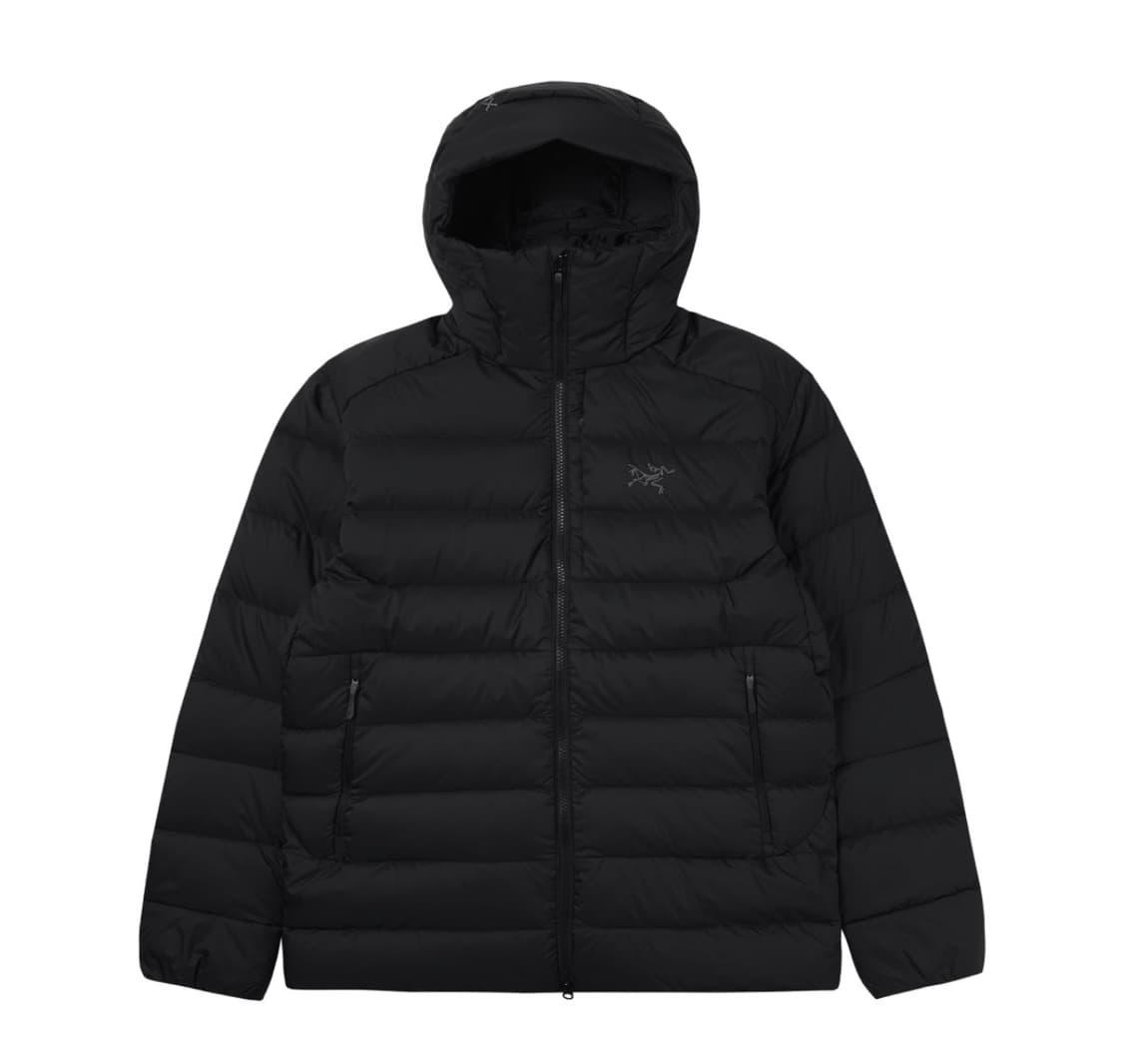 [L] 아크테릭스 토륨 후디 블랙 상품이미지1