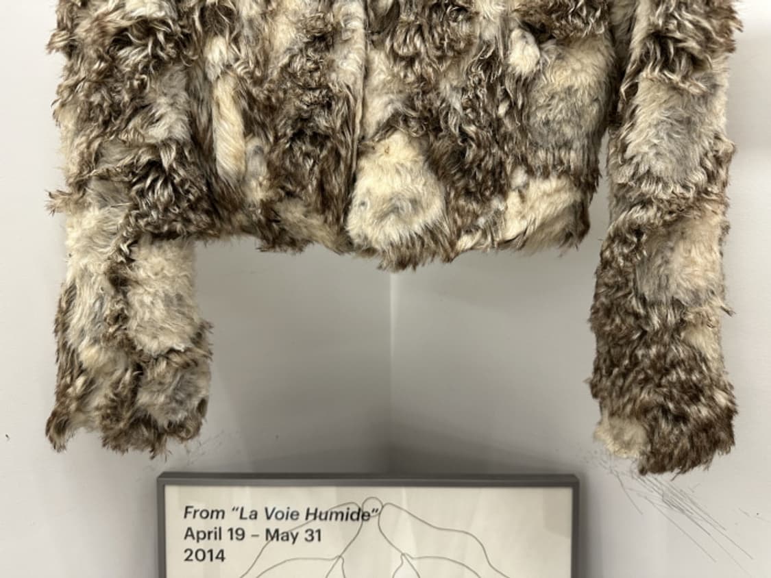 GRAIL (M) 상품이미지3