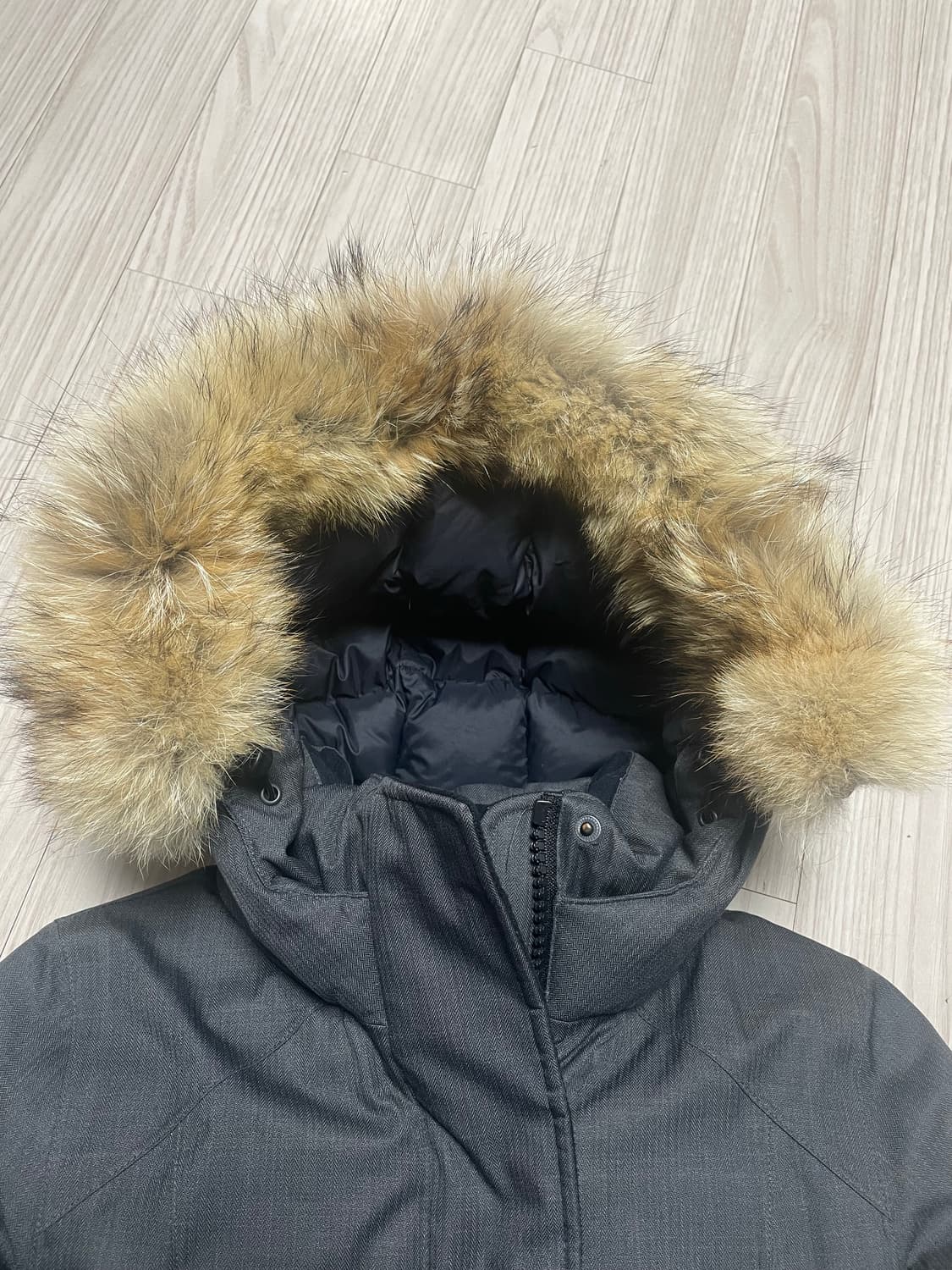 정품 한글택 노비스 CARLA 여성 패딩 XS 상품이미지10