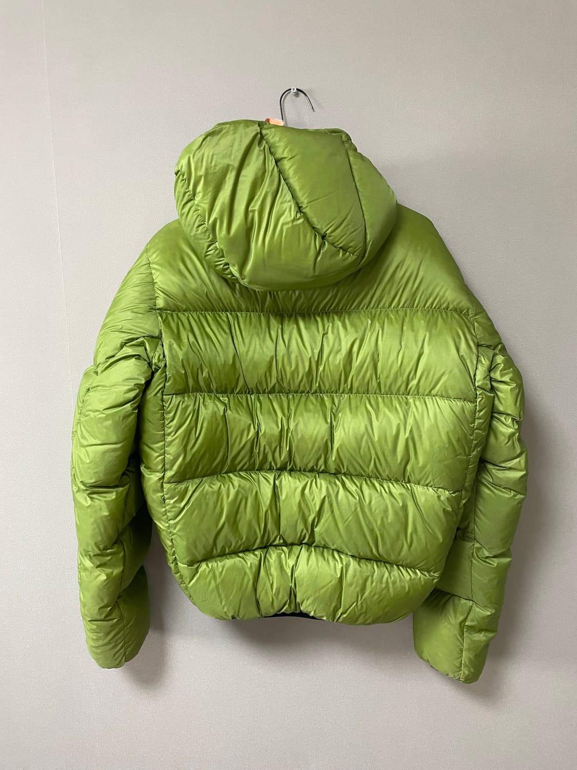 (S)페더드프렌즈 헬리오스 grass 상품이미지2