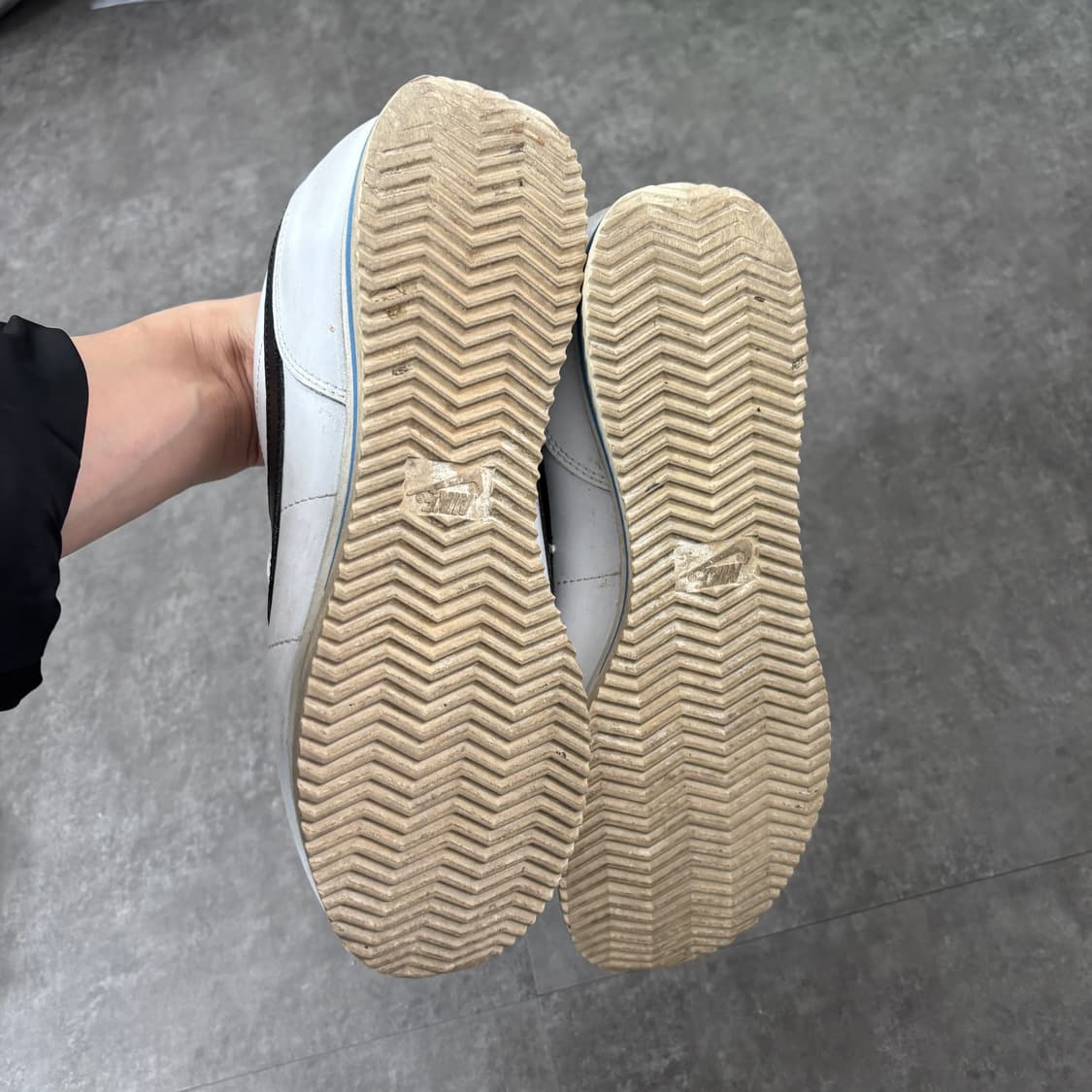 코르테즈 270 상품이미지5