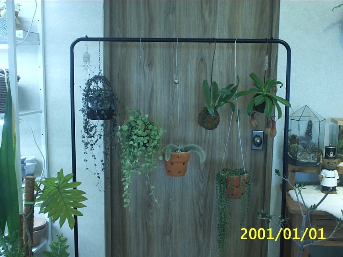 삼성 케녹스 디지맥스 201 빈티지 디지털 카메라 디카 상품이미지8