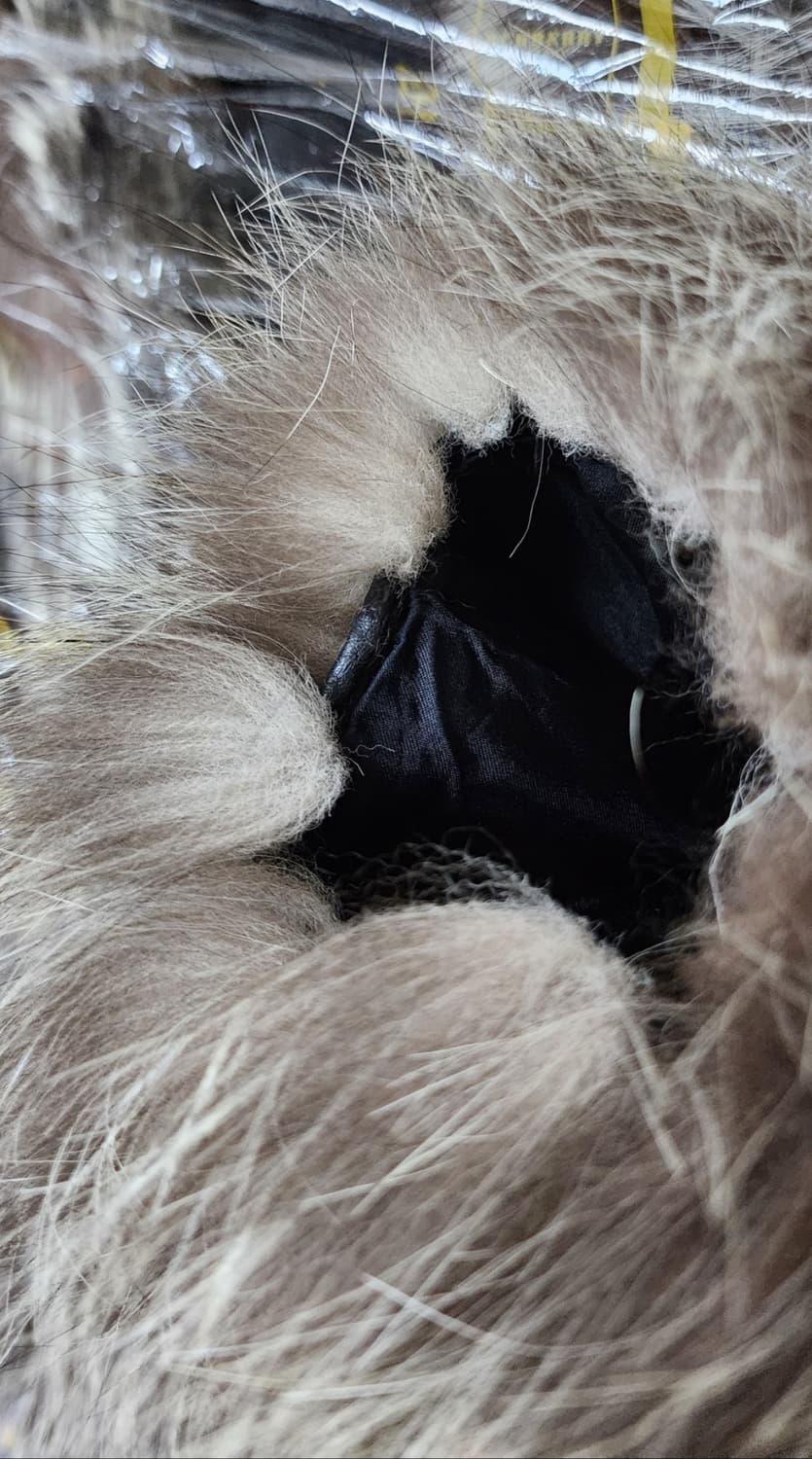 실버폭스 퍼 코트 상품이미지9