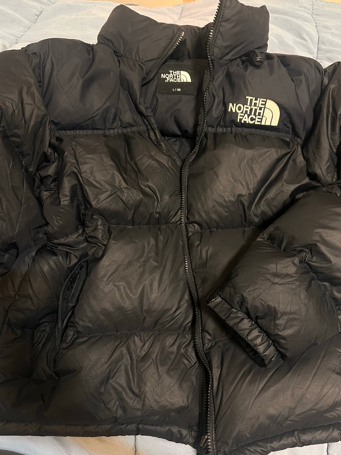 노스페이스 1996 에코 눕시 L 상품이미지4