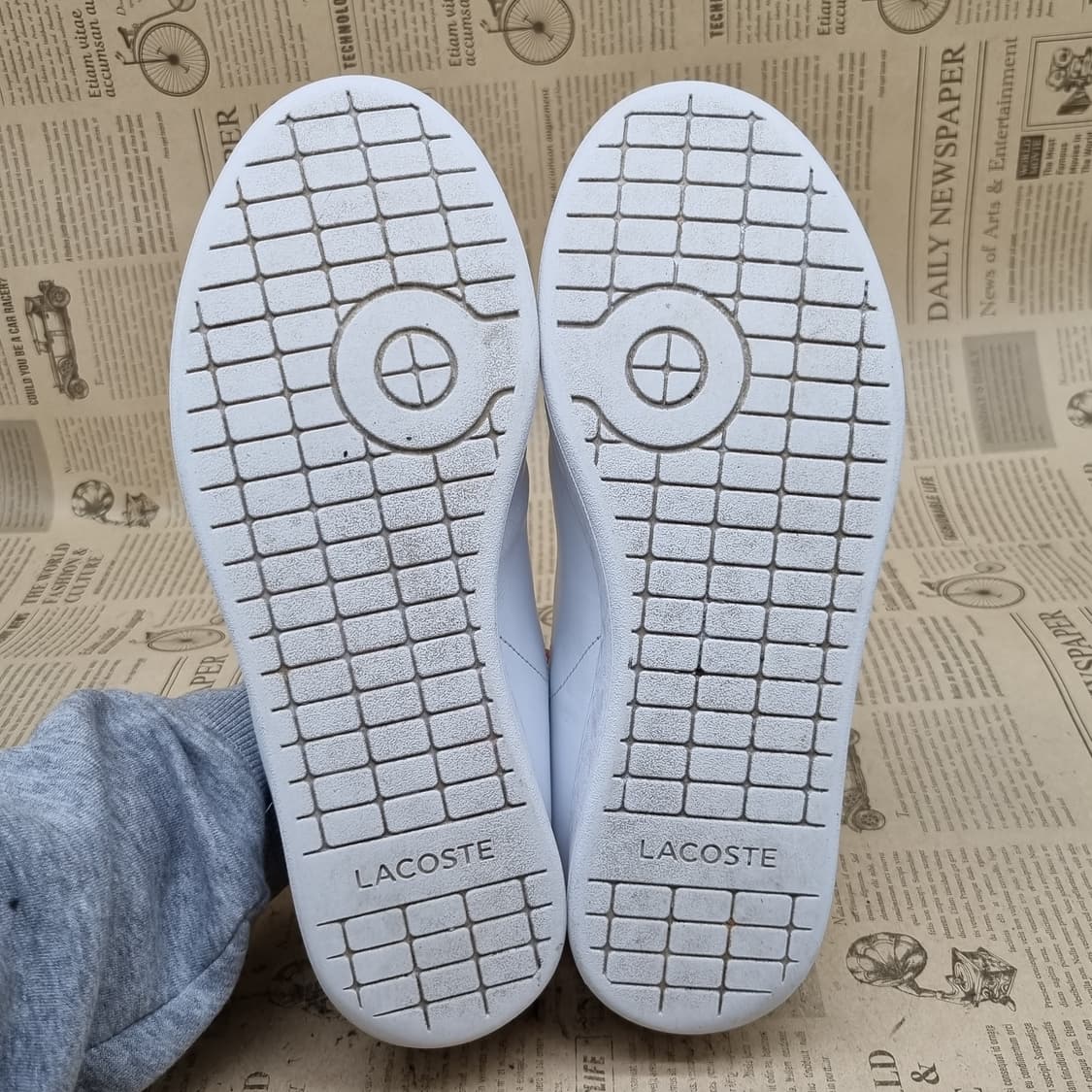 라코스테 카나비 에보 스니커즈255 상품이미지3