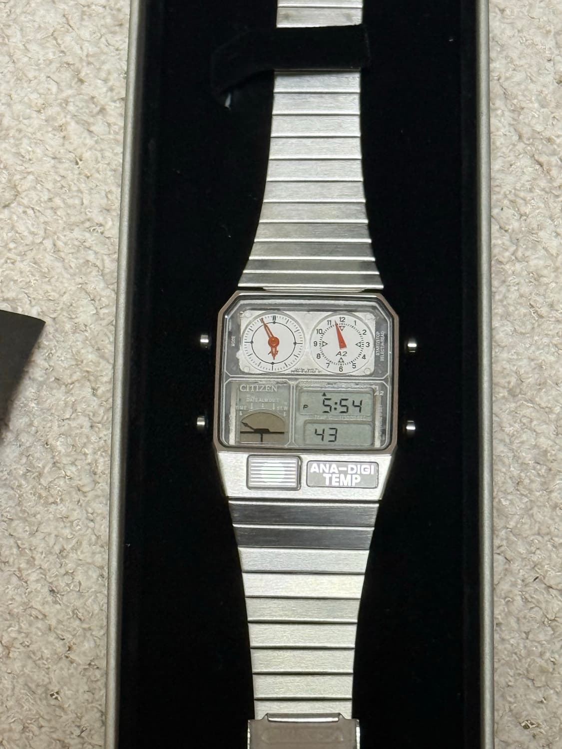 시티즌x빔즈 아나디지템프 별주 스켈레톤 상품이미지2