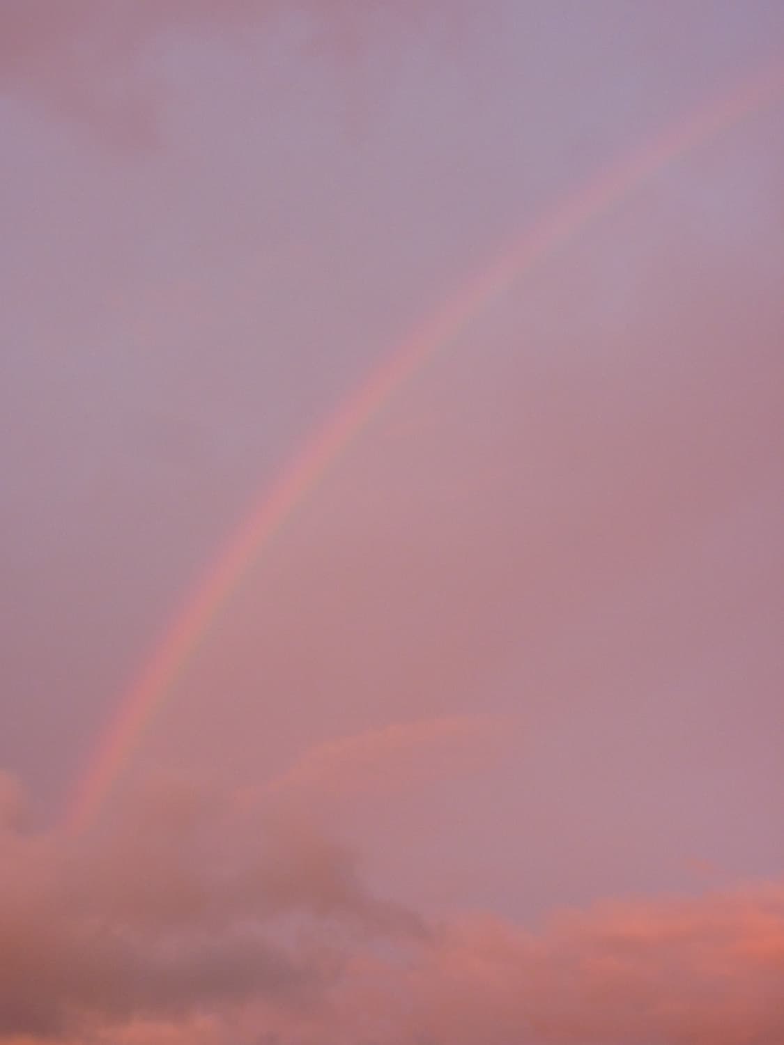 파나소닉 루믹스 dmc-fp8 디카 상품이미지4