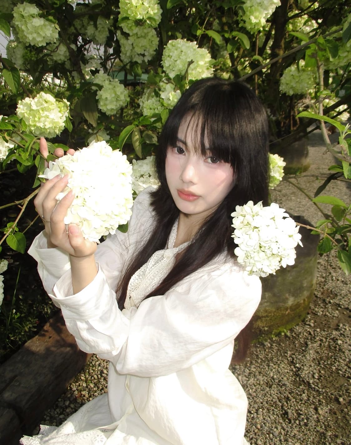 강추!🍅) CANON IXY 160 빈티지 디카 상품이미지4