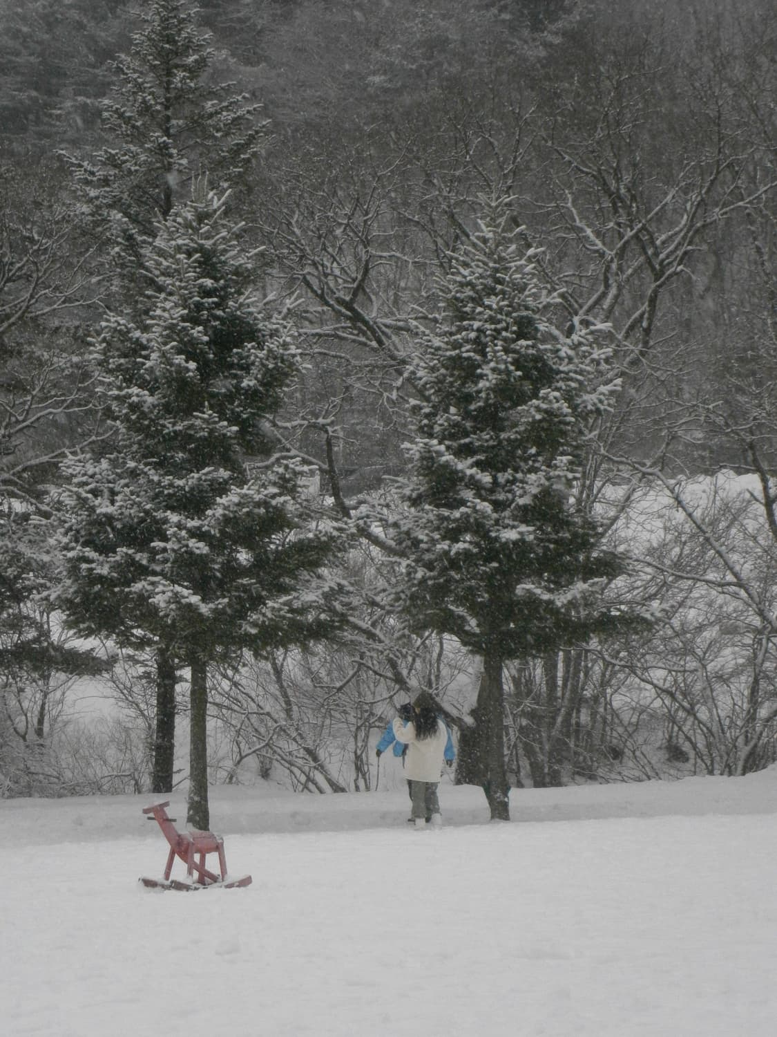 올림푸스 gv120 작례o 상품이미지6