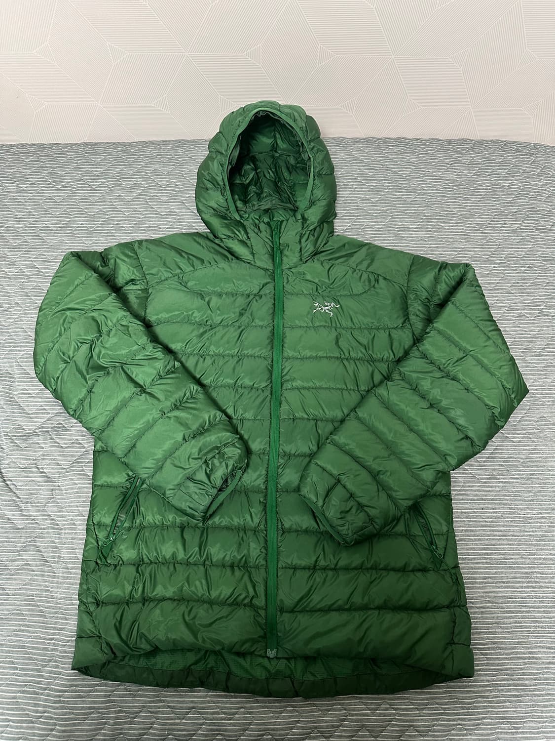 아크테릭스 세륨 lt 후디 (리기어) 상품이미지1