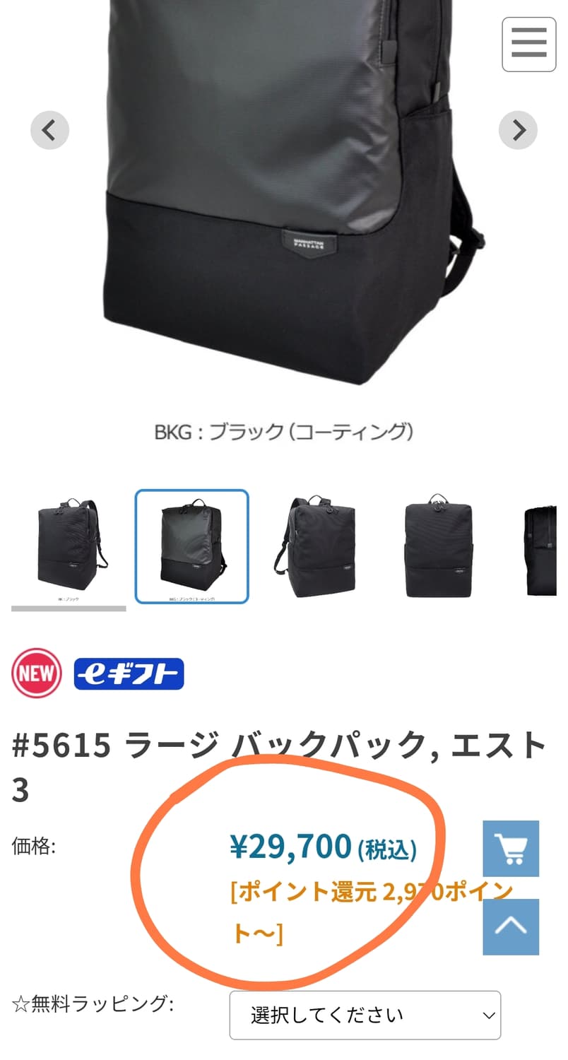 (새상품50%할인)일본 맨하탄 페세지 초경량 백팩 블랙 #5615 상품이미지2