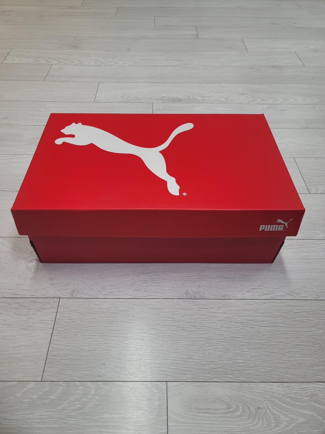 (270)푸마 풋살화 울트라 플레이 TT 상품이미지2