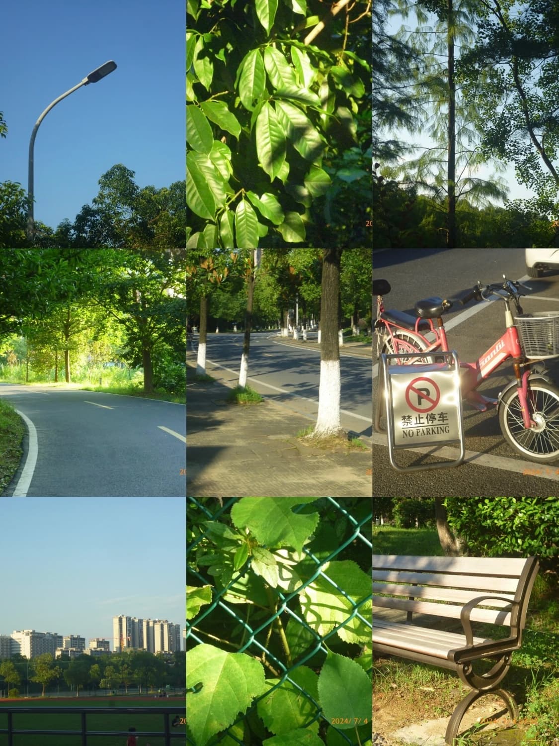 (몽환감성🫧) 파나소닉 루믹스 DMC-S2 | Lumix DMC-S2 상품이미지2