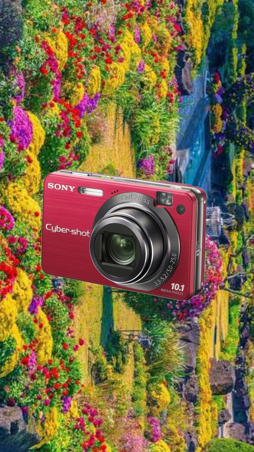 소니 사이버샷 DSC-W170 상품이미지1