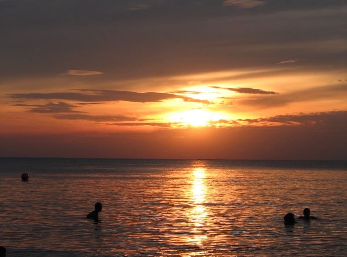 셀카 가능!) 캐논 파워샷 a95 (작례O) 상품이미지6