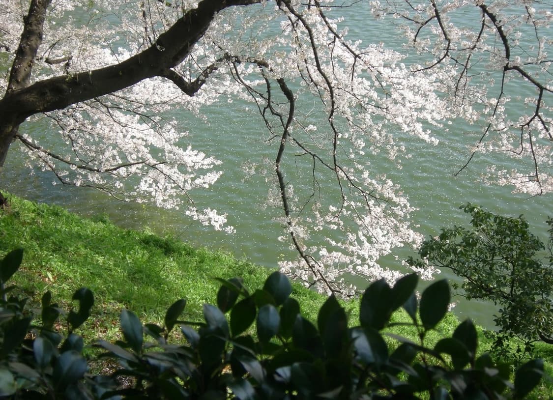 NIKON COOLPIX P4 니콘 쿨픽스 P4 빈티지 디지털카메라 디카 상품이미지4