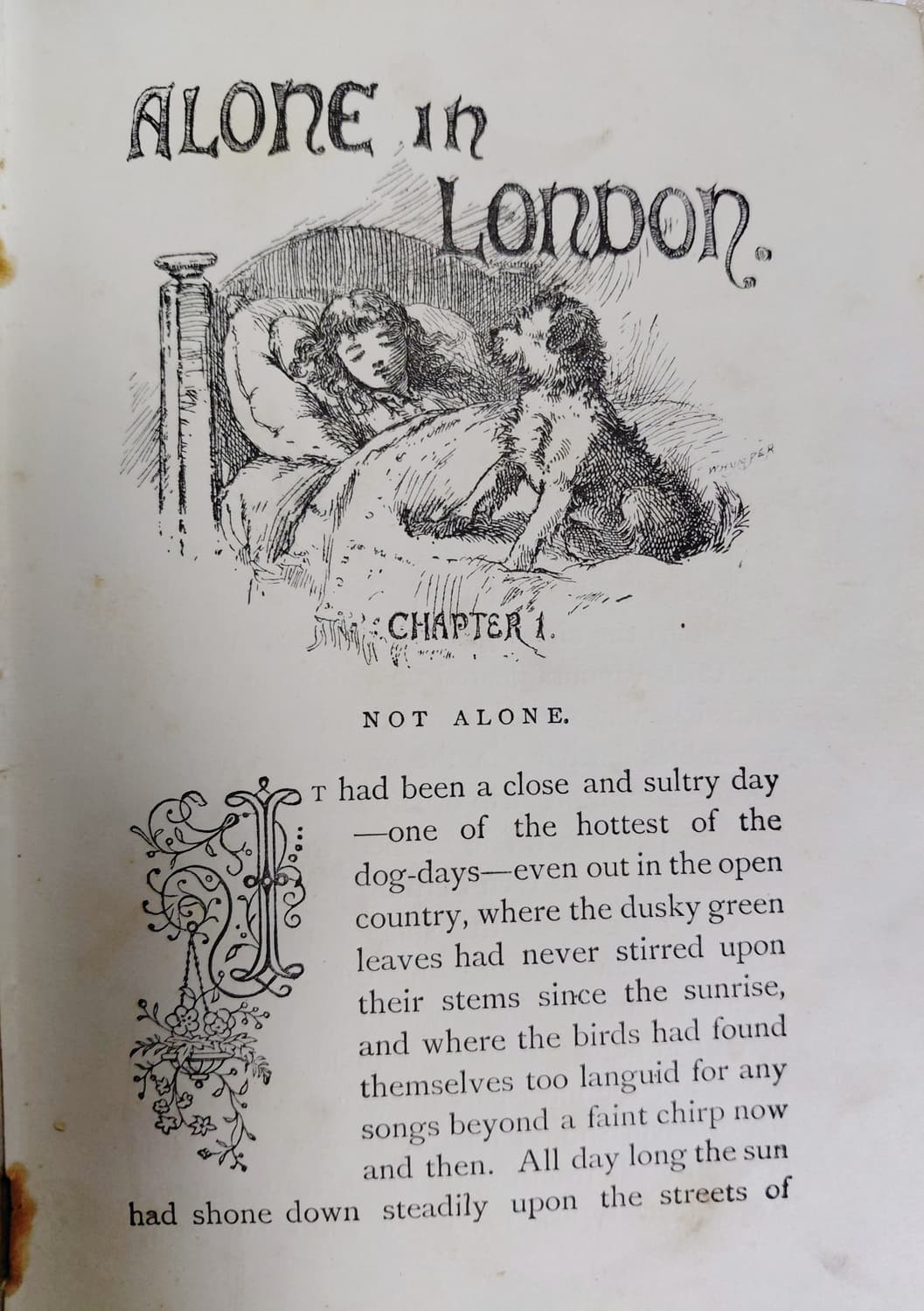 Antique) 1893년 아르누보시대 앤틱책 상품이미지9