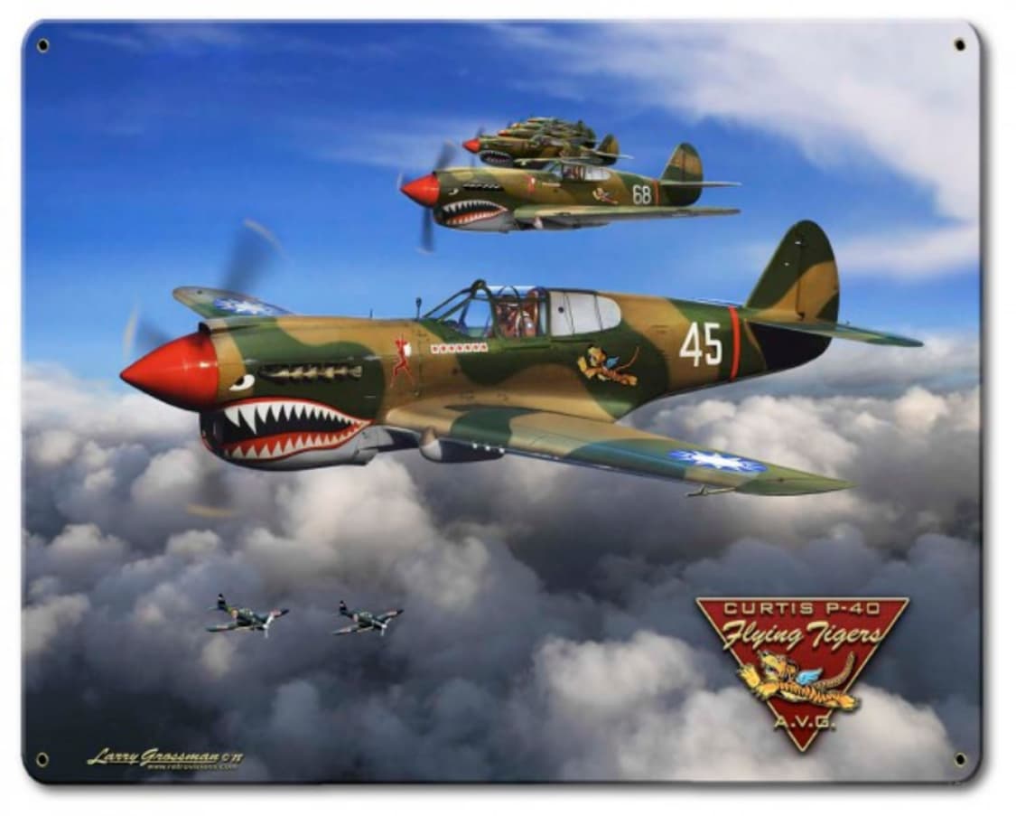 AVIREX 50주년 FLYING TIGERS MA-1 자켓 상품이미지10