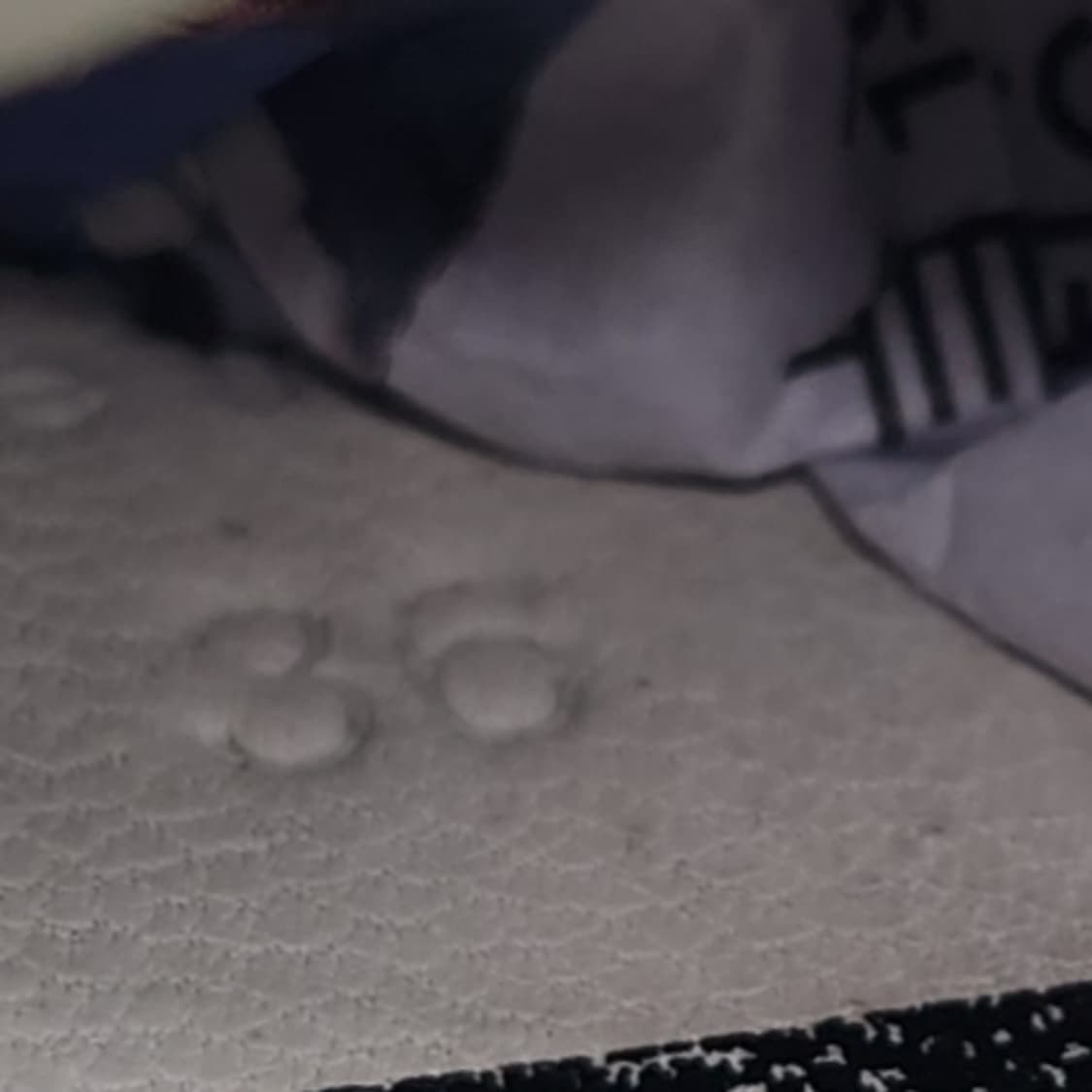 oo gg 여성스니커즈 230 상품이미지6