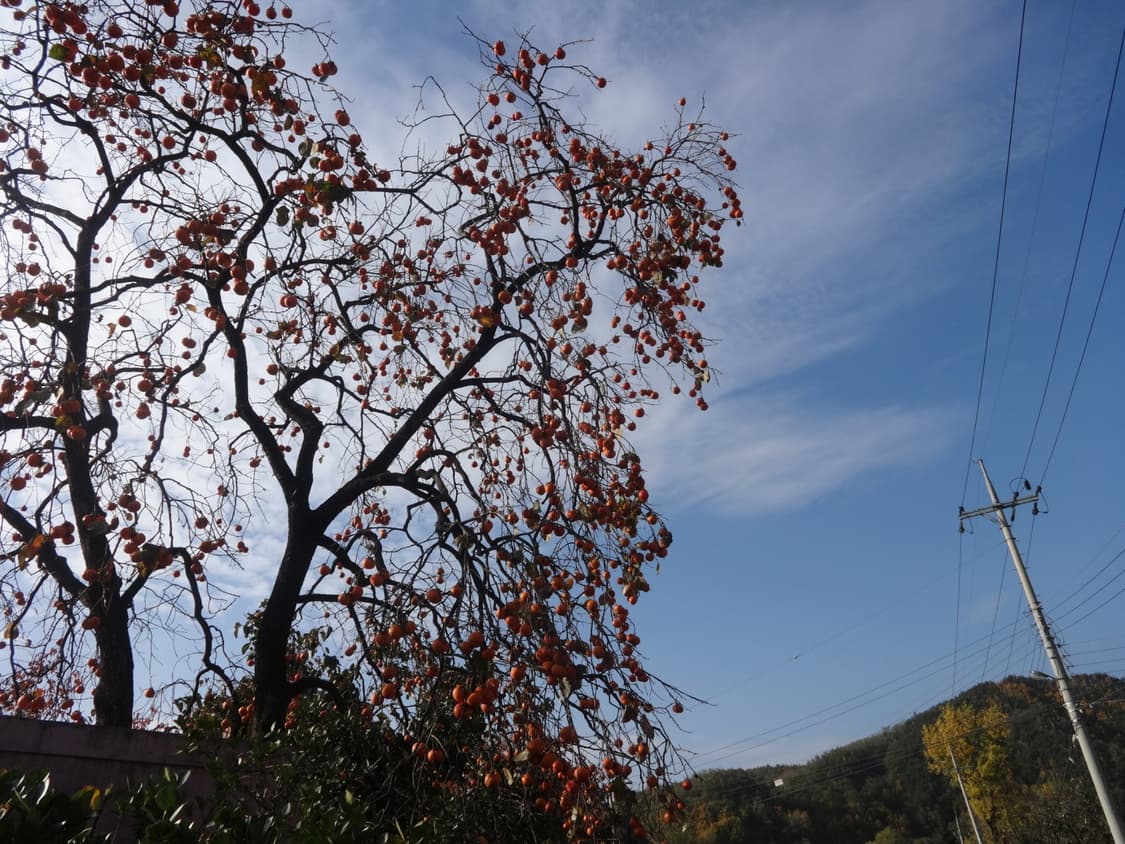 소니 사이버샷 dsc wx80 디카 (빈티지 카메라) 상품이미지6