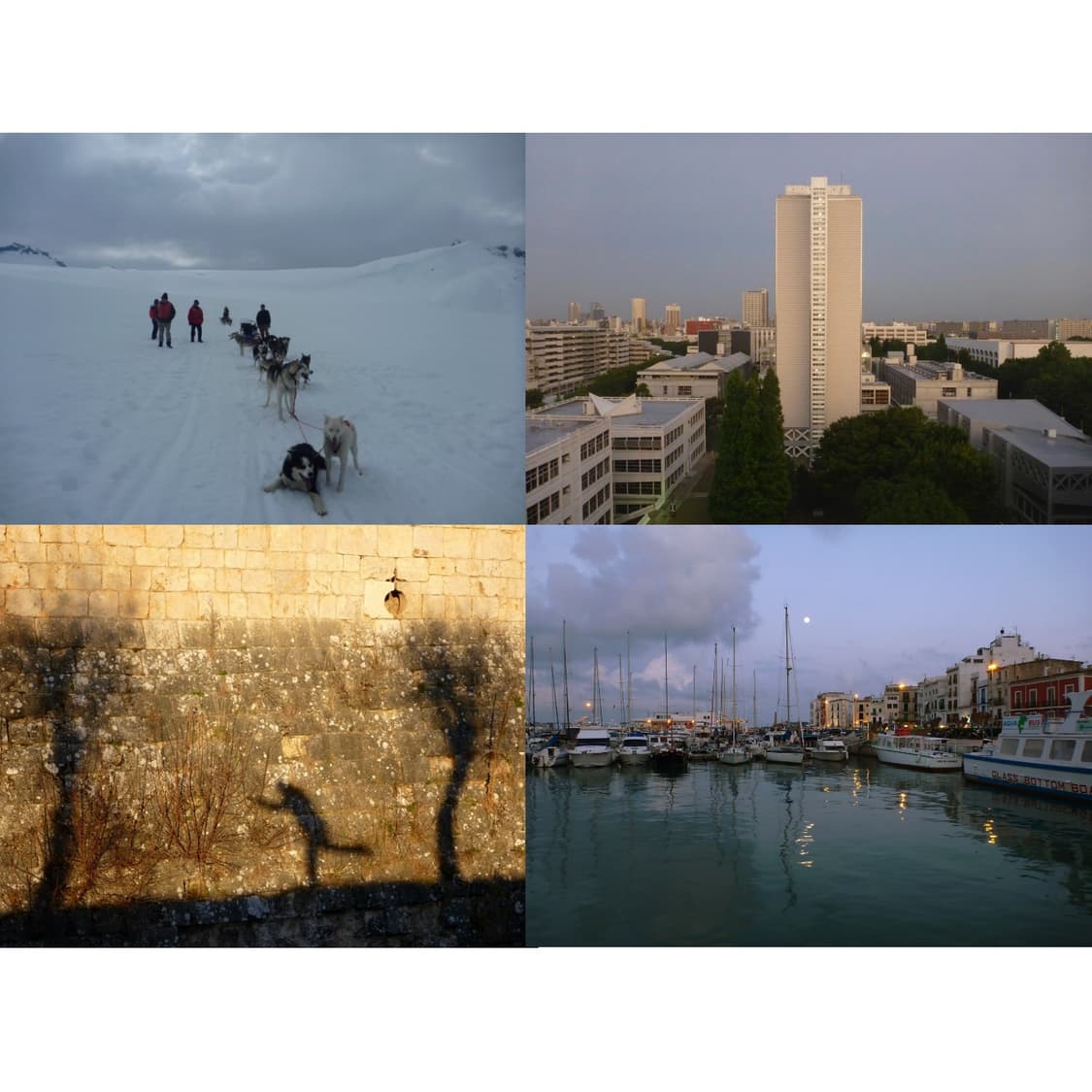 파나소닉 루믹스 ft3 (작례 0) 상품이미지2