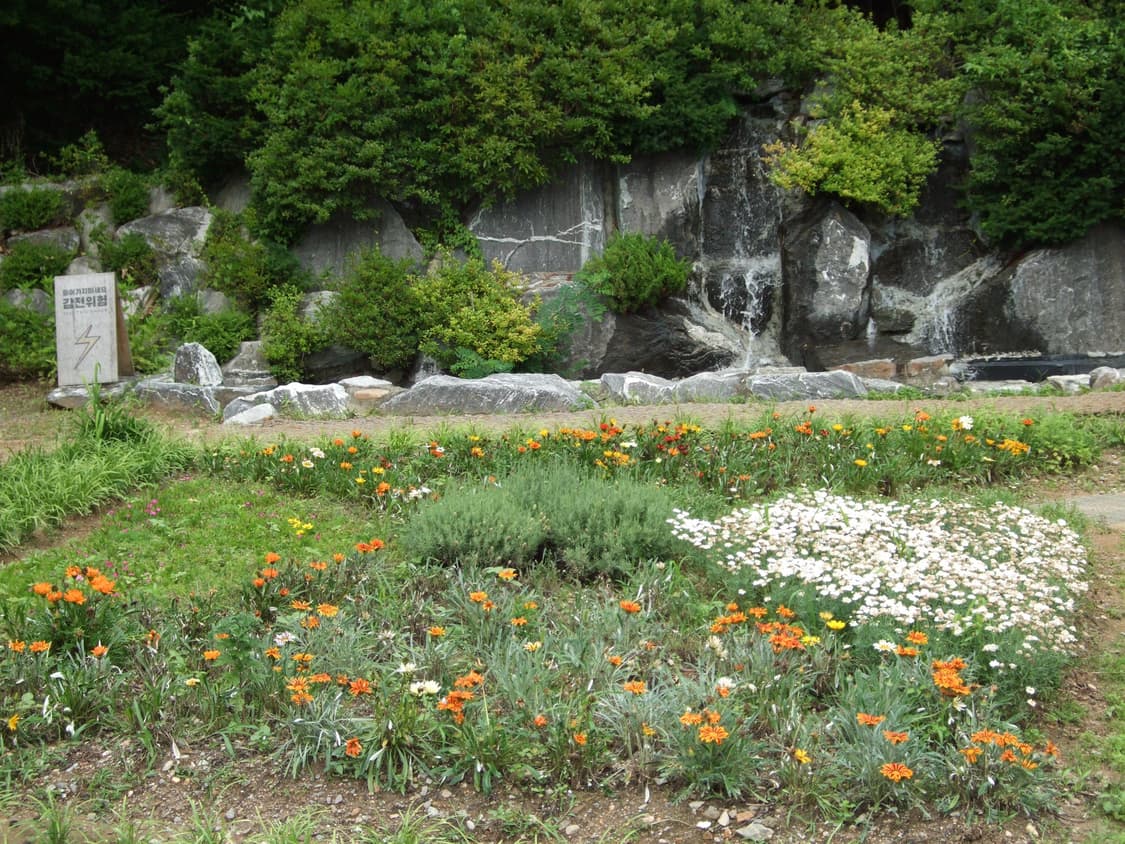 작례O)후지필름 파인픽스 F50fd fujifilm finepix f50 상품이미지8