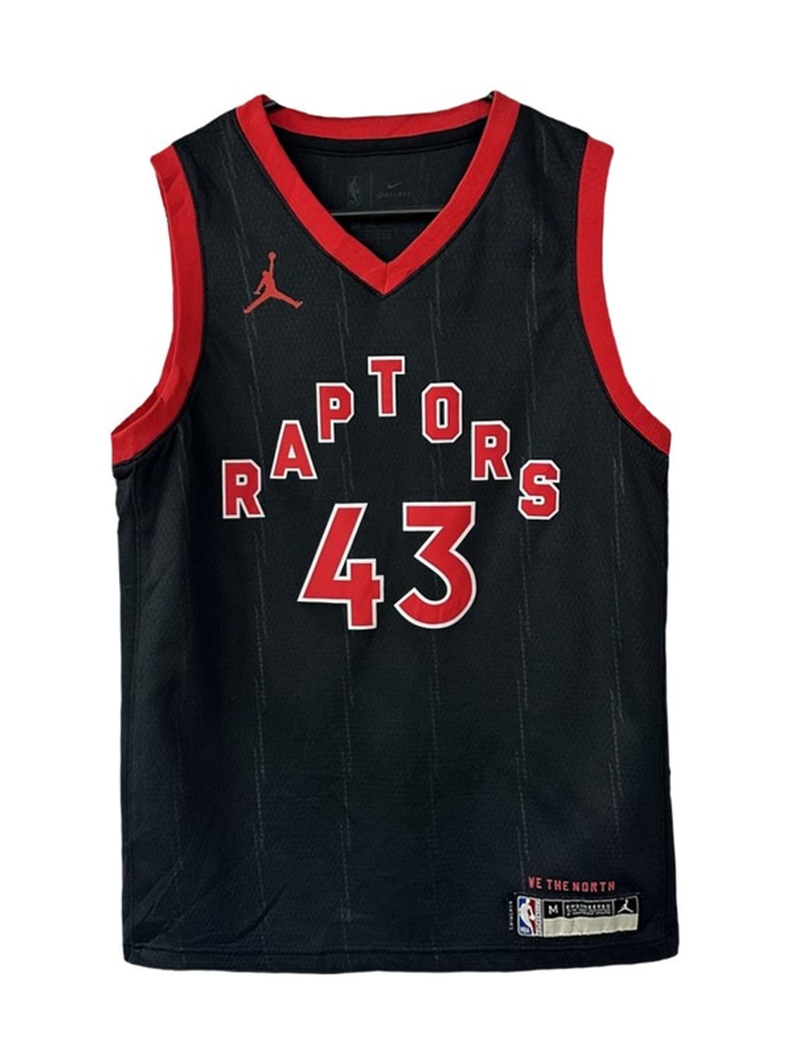 [M] NIKE 나이키 NBA 토론토랩터스 시아캄 스윙맨저지 상품이미지1