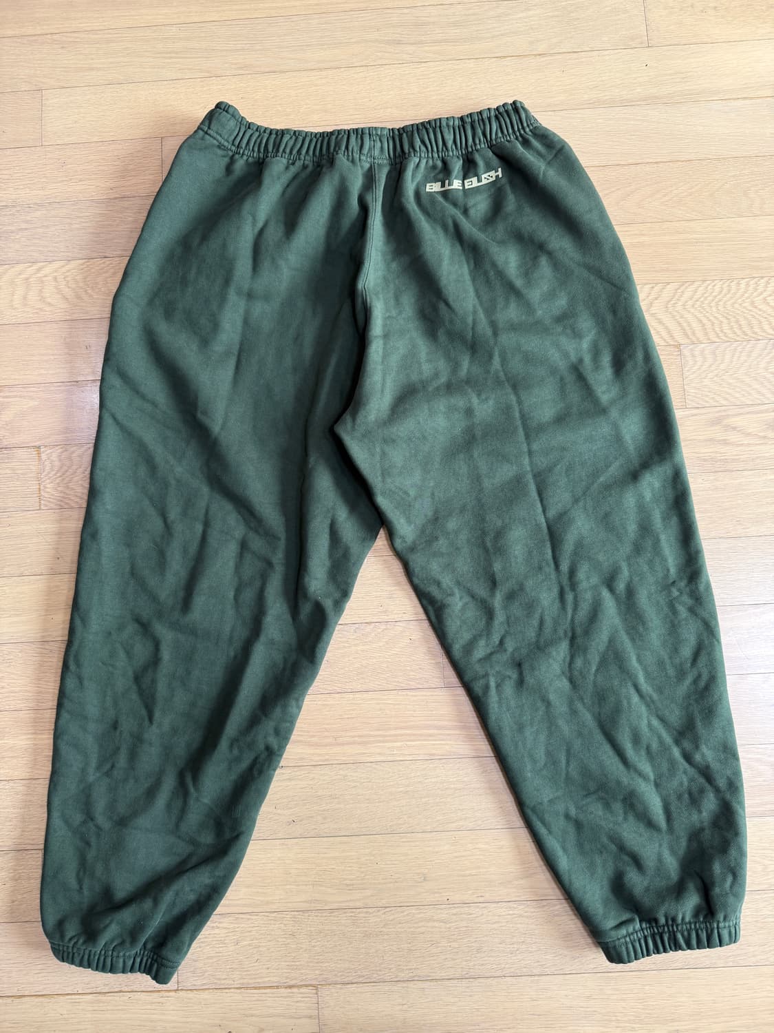 [L] 나이키 랩 nrg x 빌리 아일리시 플리스 스웻팬츠 세쿼이아 상품이미지6