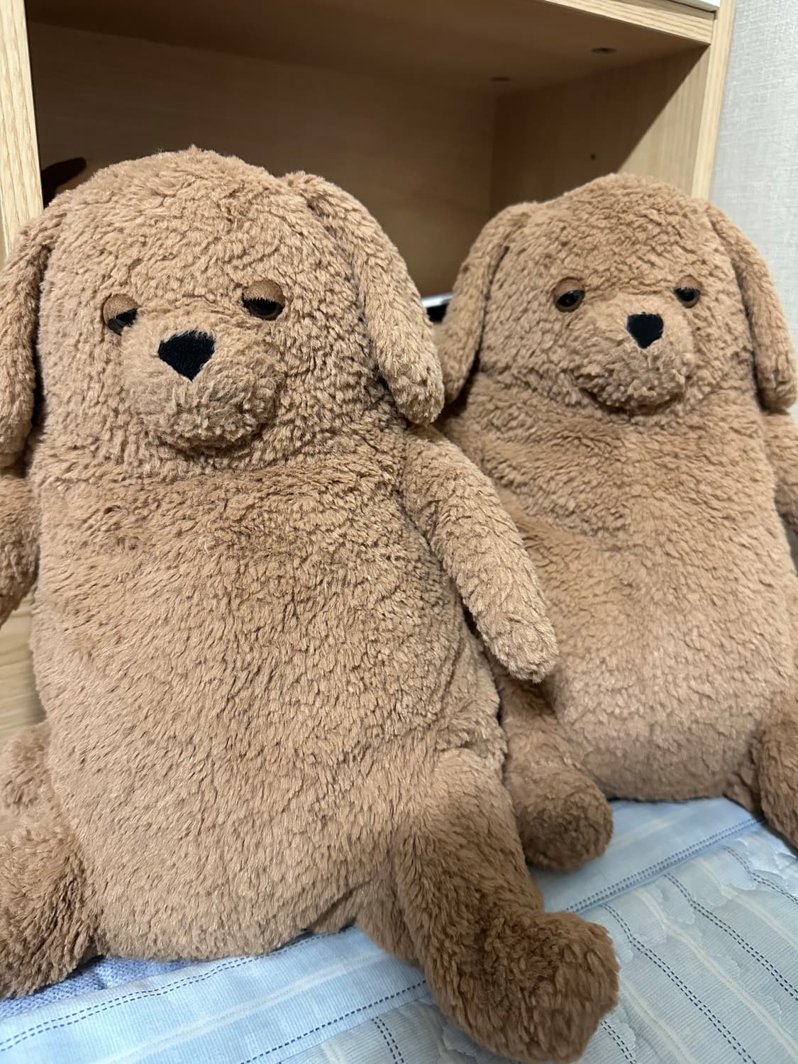 젤리캣 아모레 도그 2마리 상품이미지1