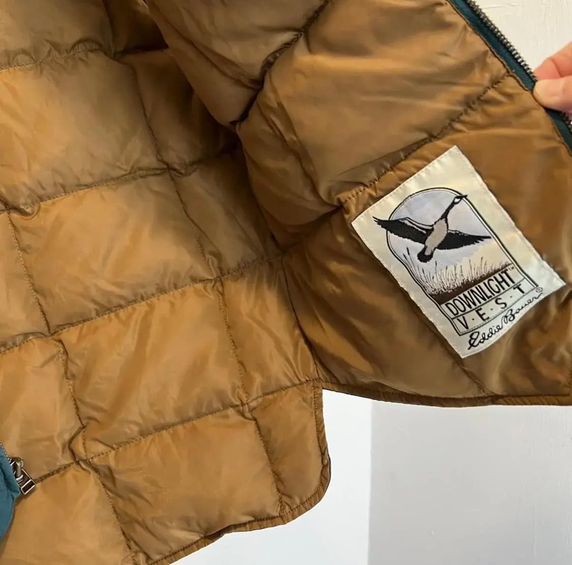 에디바우어 베스트 S 상품이미지4