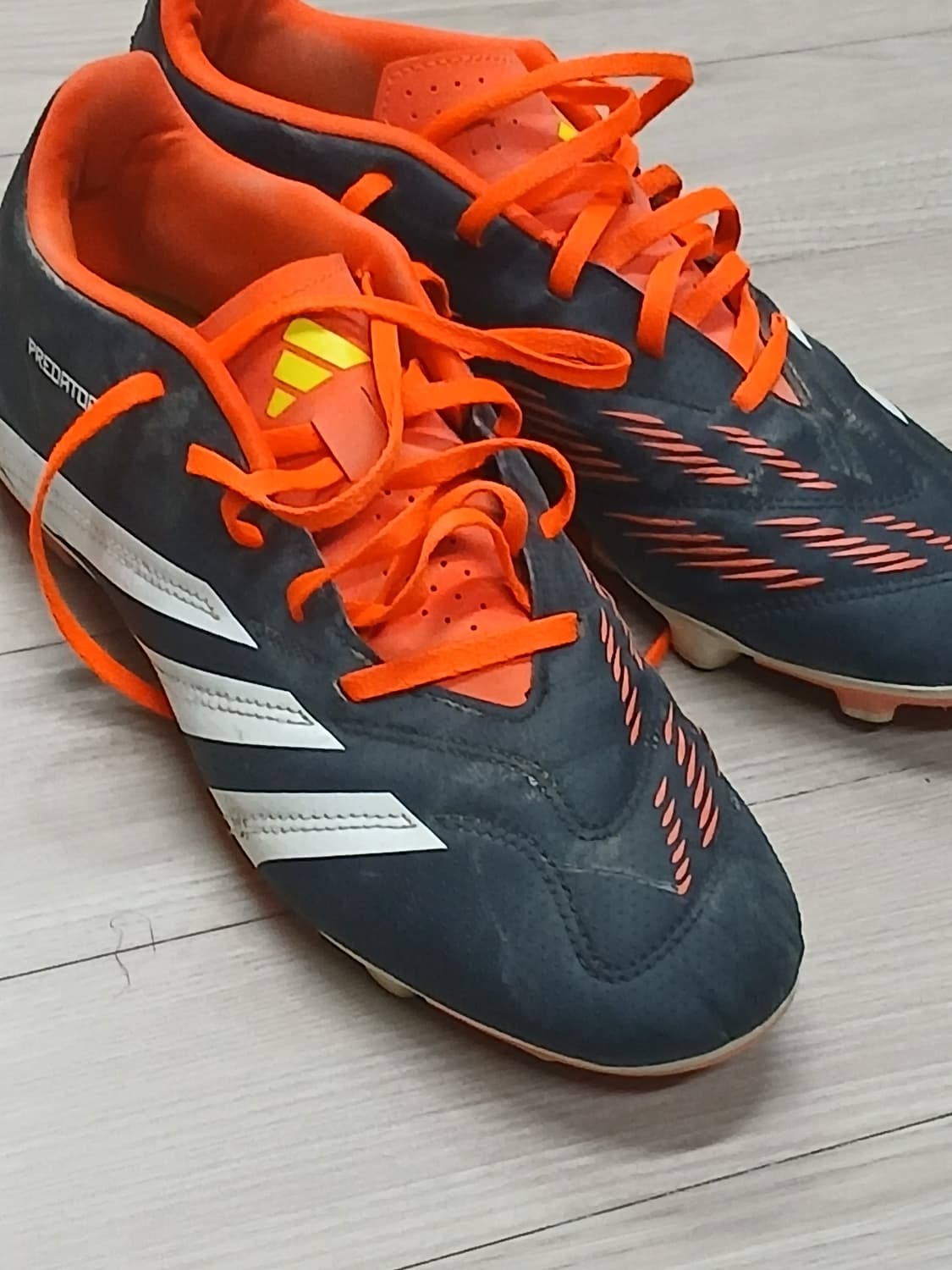 아디다스 프레데터 축구화 프로(fg) 상품이미지1