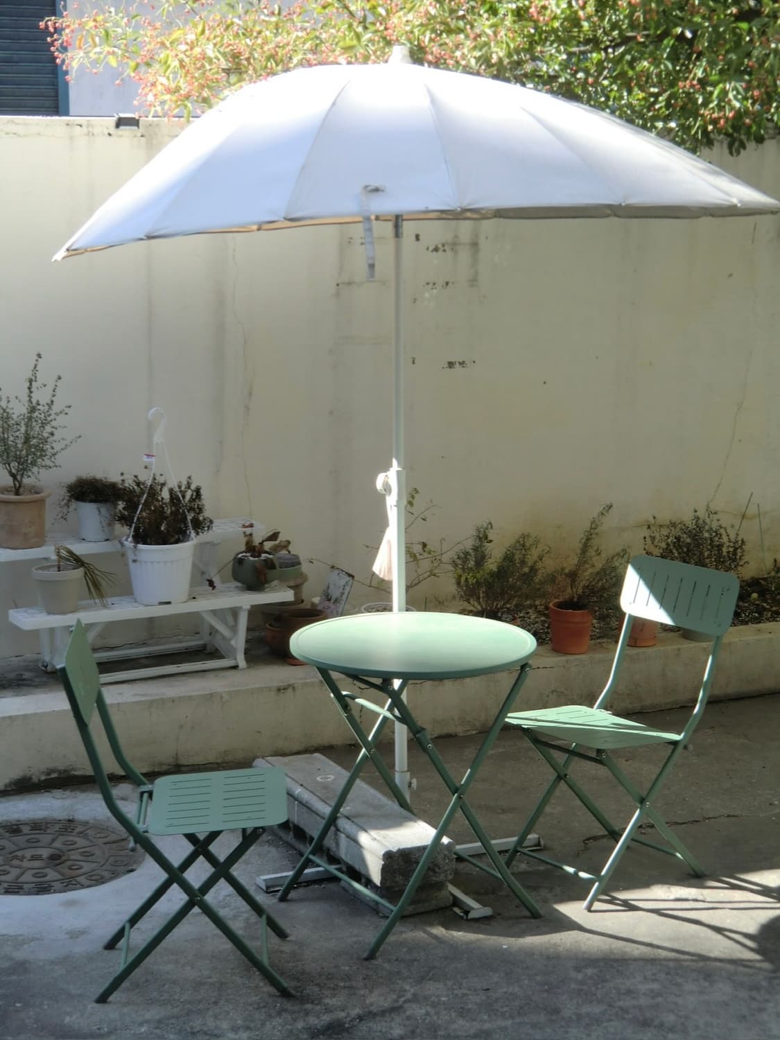 카시오 엑슬림 EX-ZS12 빈티지디카 디카 상품이미지3