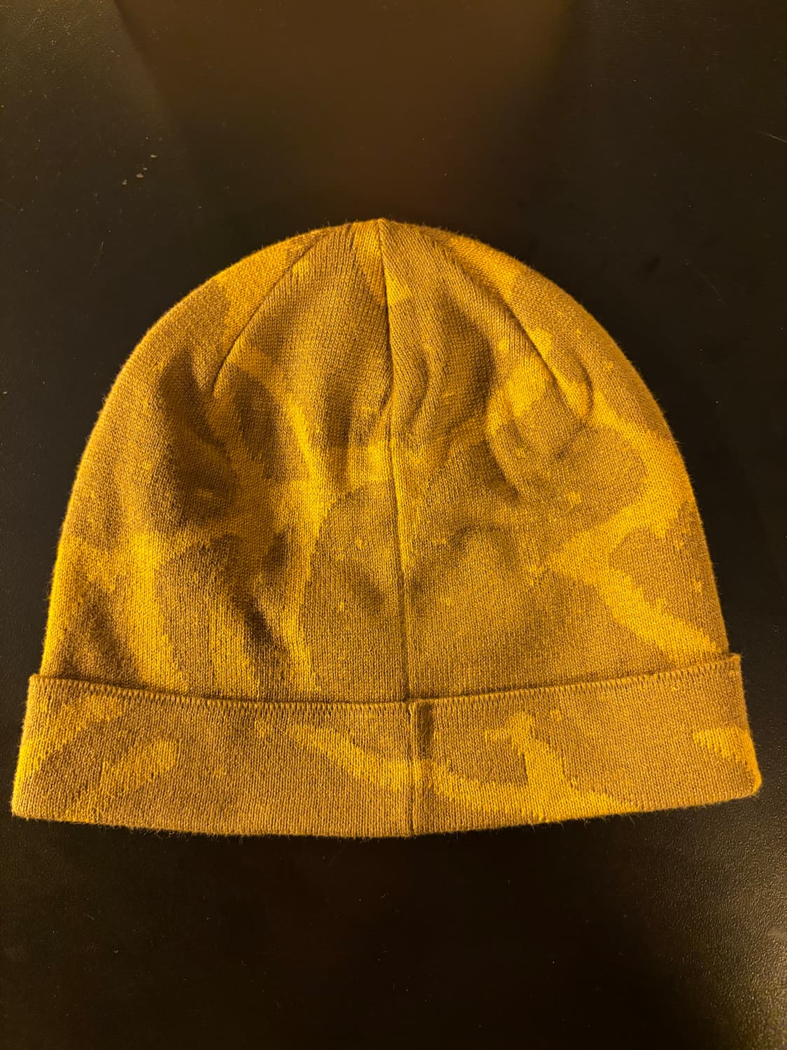 아크테릭스 비니 상품이미지2