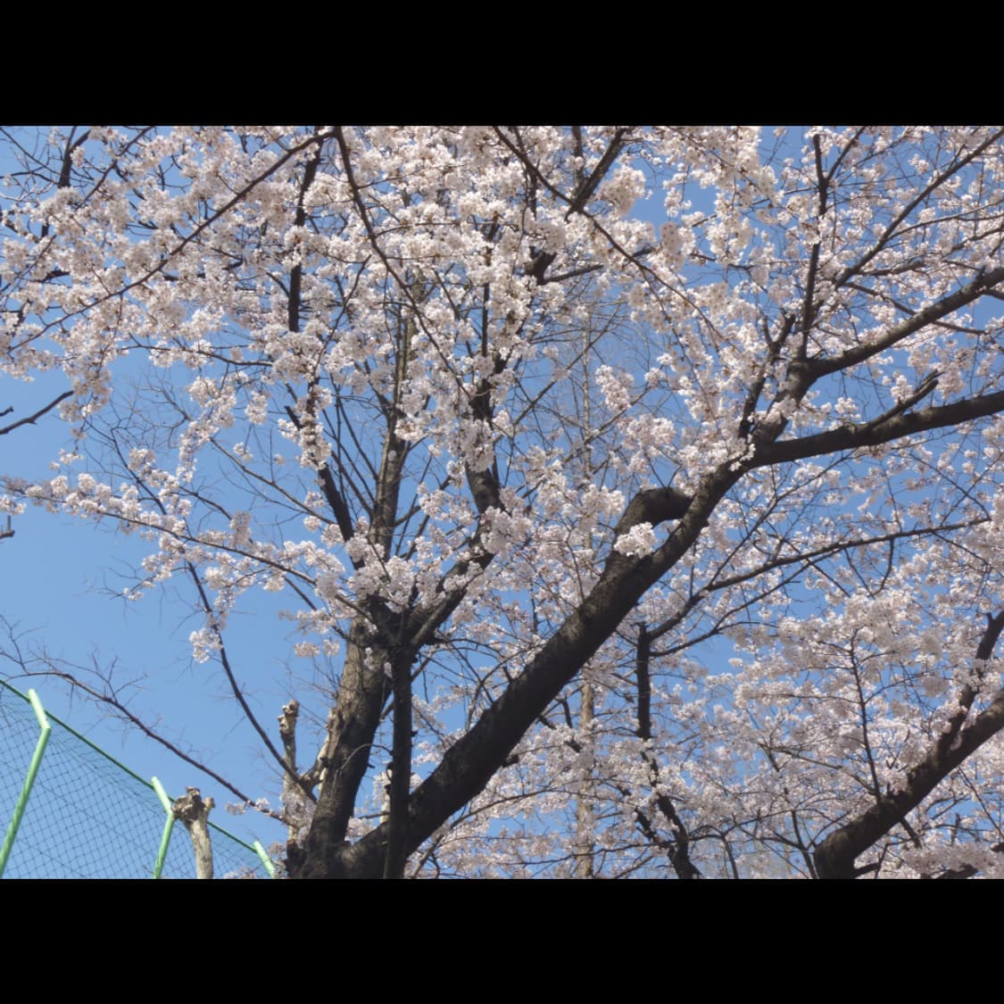 작례⭕️ 파나소닉 루믹스 DMC-FP7 상품이미지9