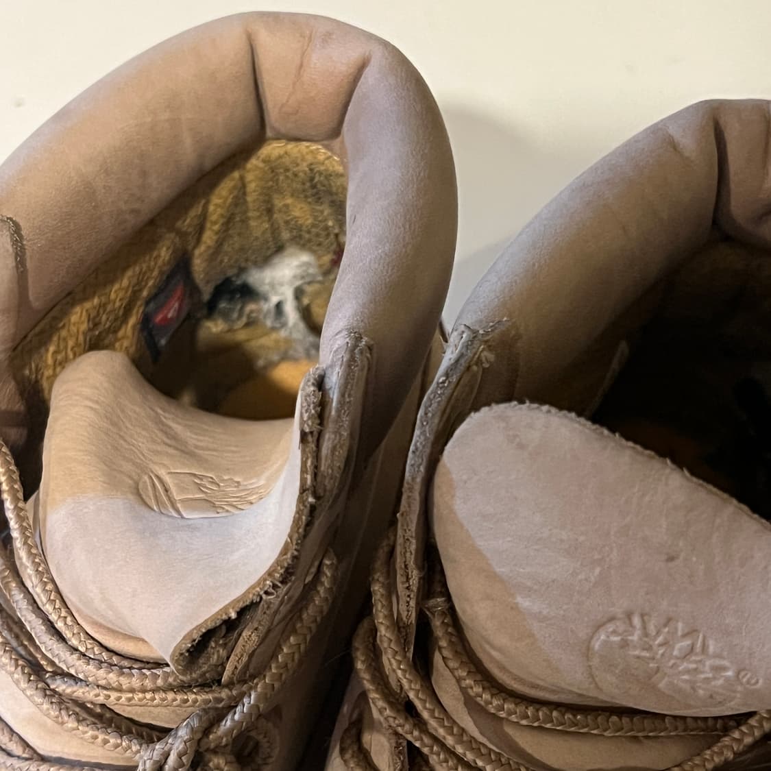 팀버랜드 6인치 프리미엄 부츠 샌드 베이지 상품이미지6