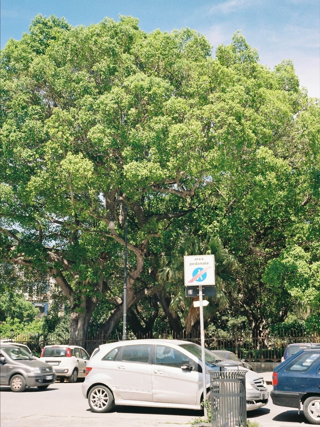 라이카 미니줌 데이터백 최상급 상품이미지5