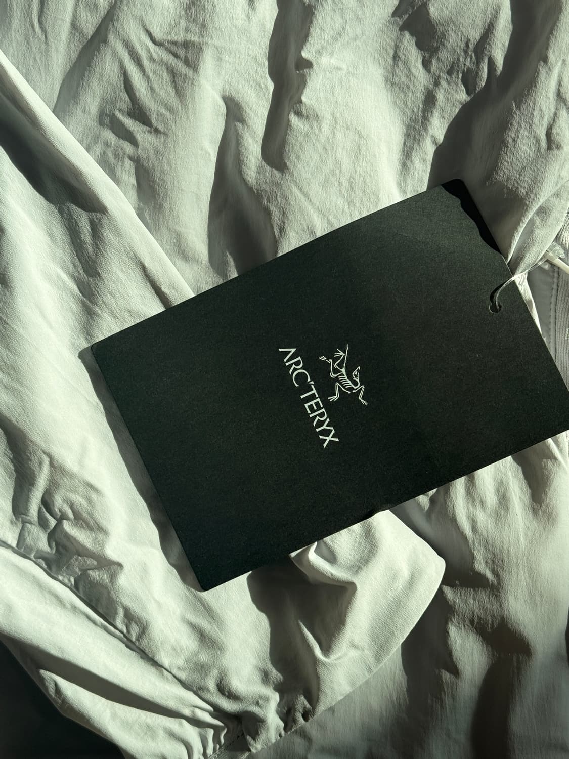 아크테릭스 아톰 SL 후디 상품이미지2