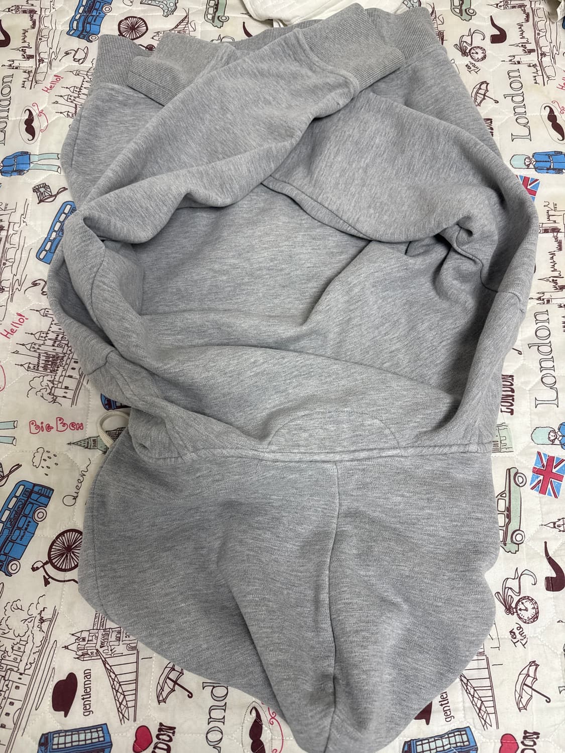 폴로 성조기 후드집업 상품이미지2