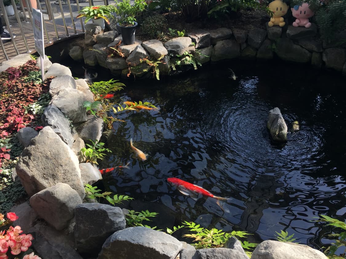 아이폰6 플러스 64GB 상품이미지2