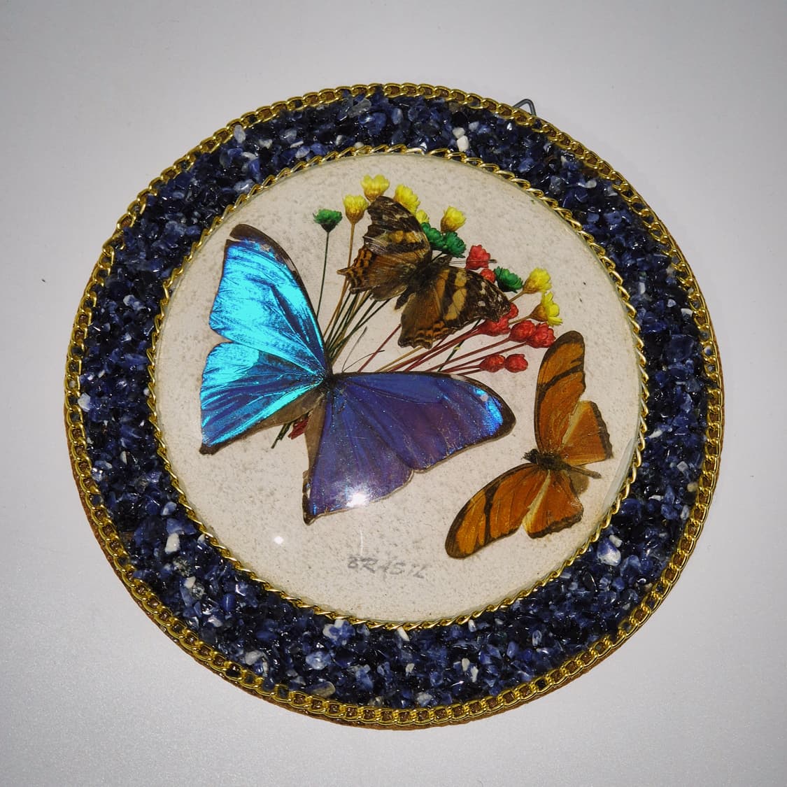 90s 브라질 모르포 나비 표본 원석 벽걸이 상품이미지6