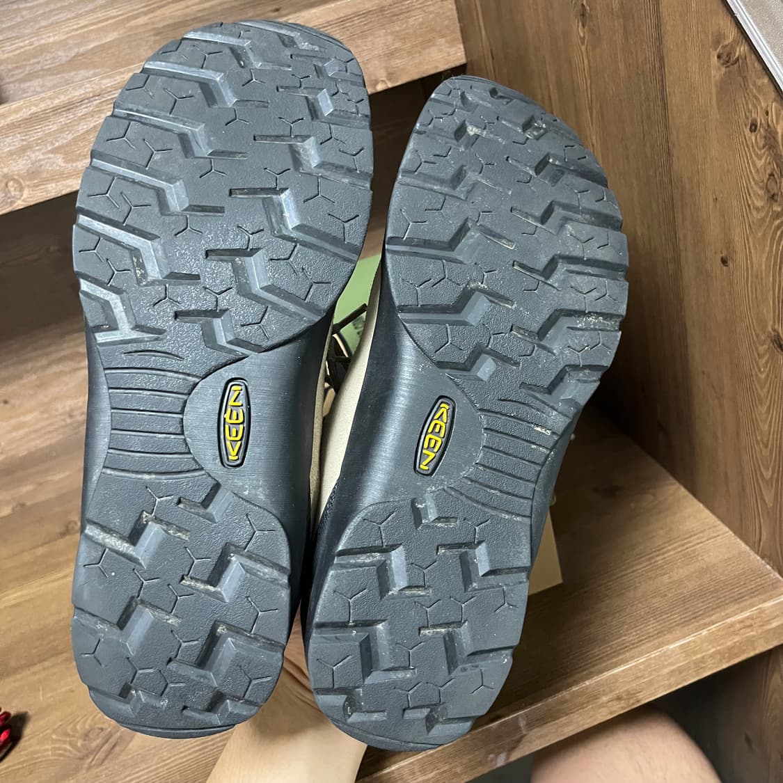 (285) 킨 재스퍼 스웨이드 스니커즈 실버 밍크 상품이미지7