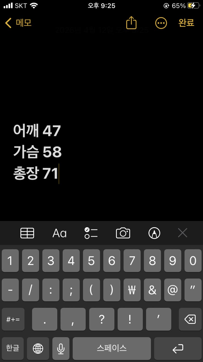 폴로랄프로렌 카모 유틸리티 셔츠 상품이미지7